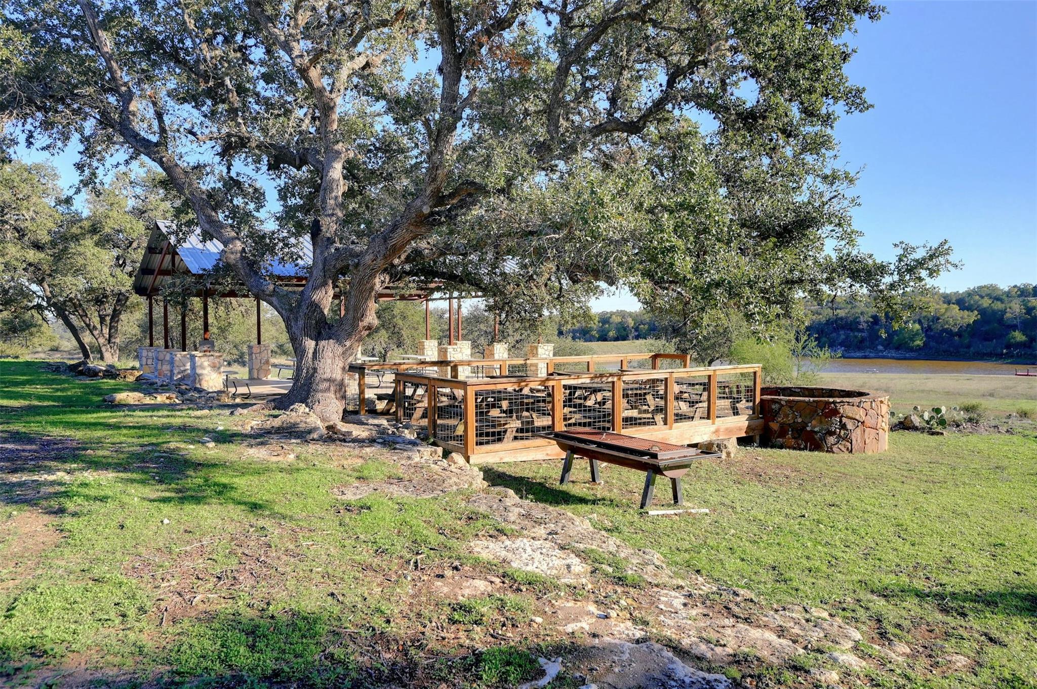 Image 14 of 27 For Lot108 Oryx Cv