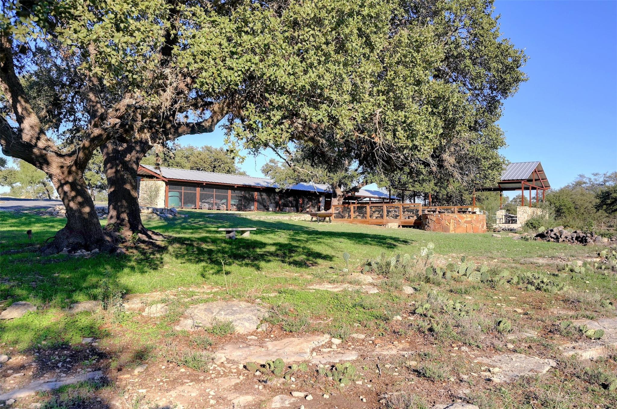 Image 17 of 27 For Lot108 Oryx Cv