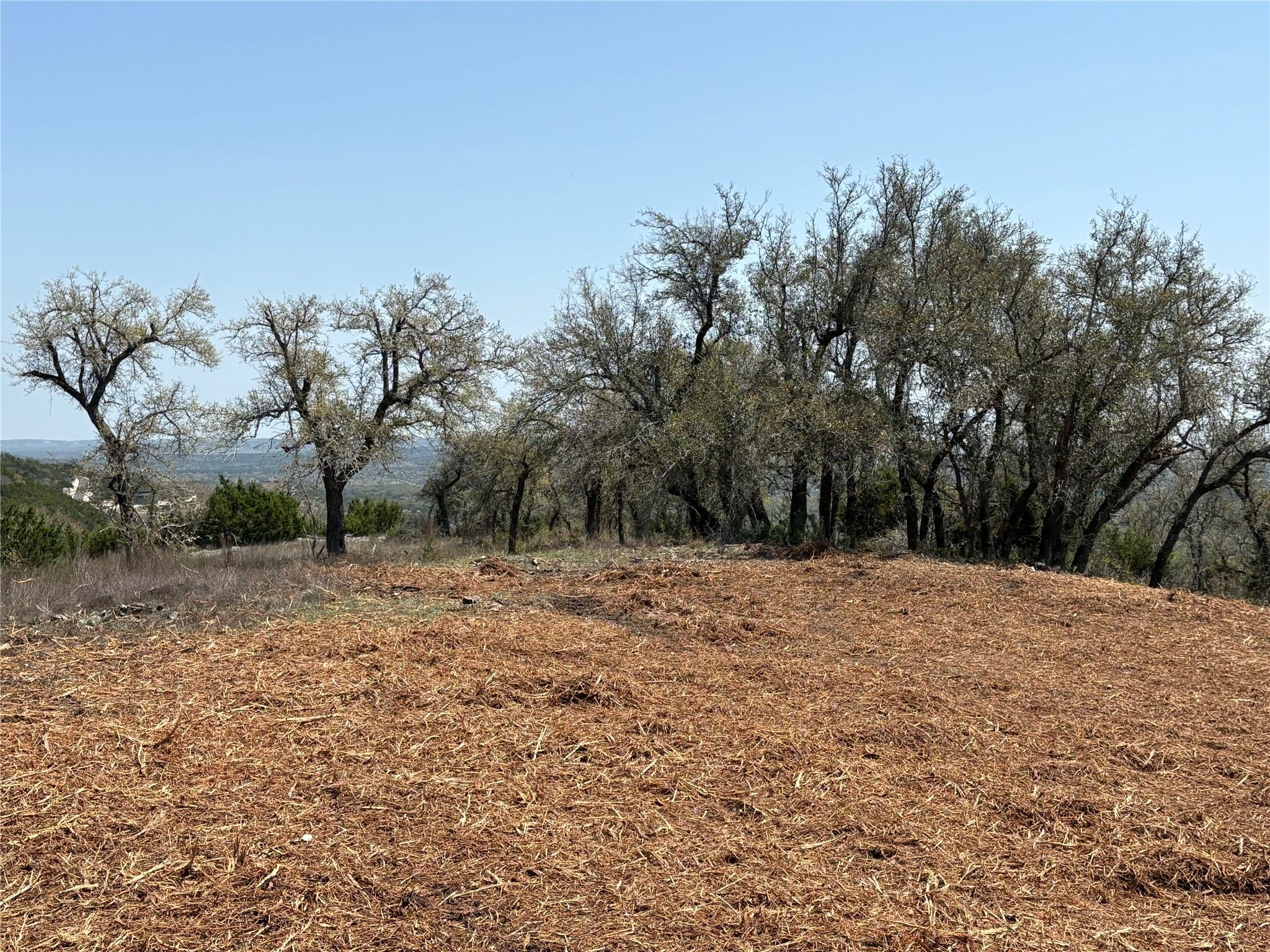 Image 22 of 27 For Lot108 Oryx Cv