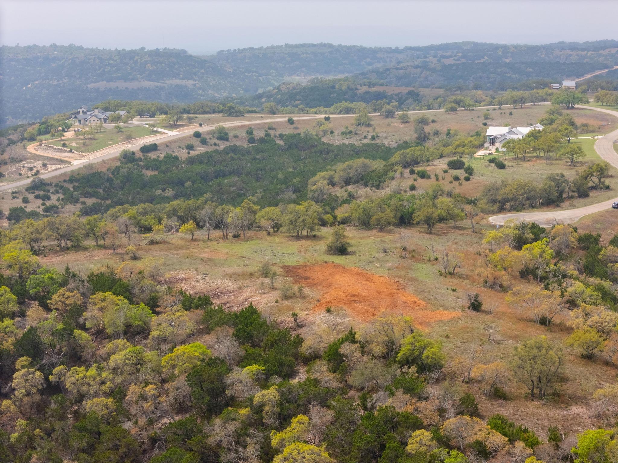 Image 6 of 27 For Lot108 Oryx Cv