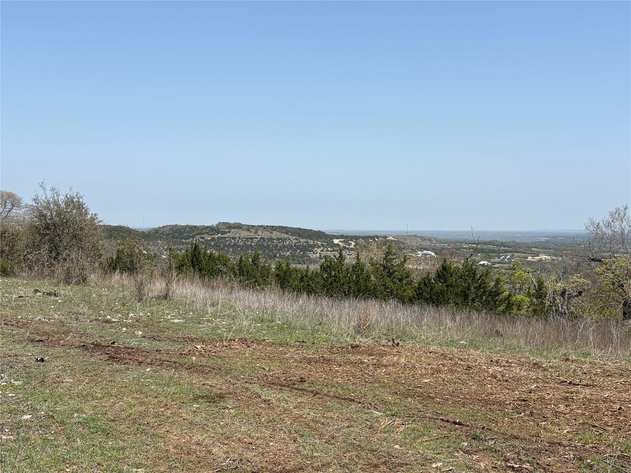 Image 7 of 27 For Lot108 Oryx Cv