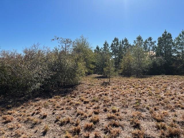 Details for Tbd Mockingbird Ln, Bastrop, TX 78602