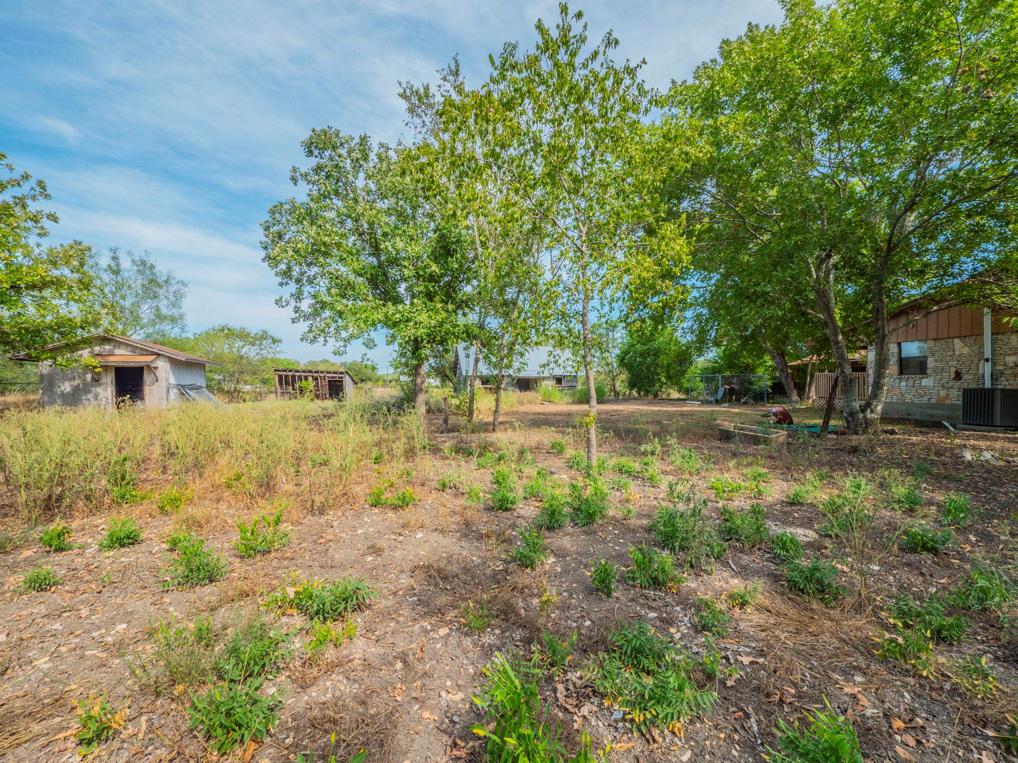 Image 15 of 24 For 1323 Fm 1966