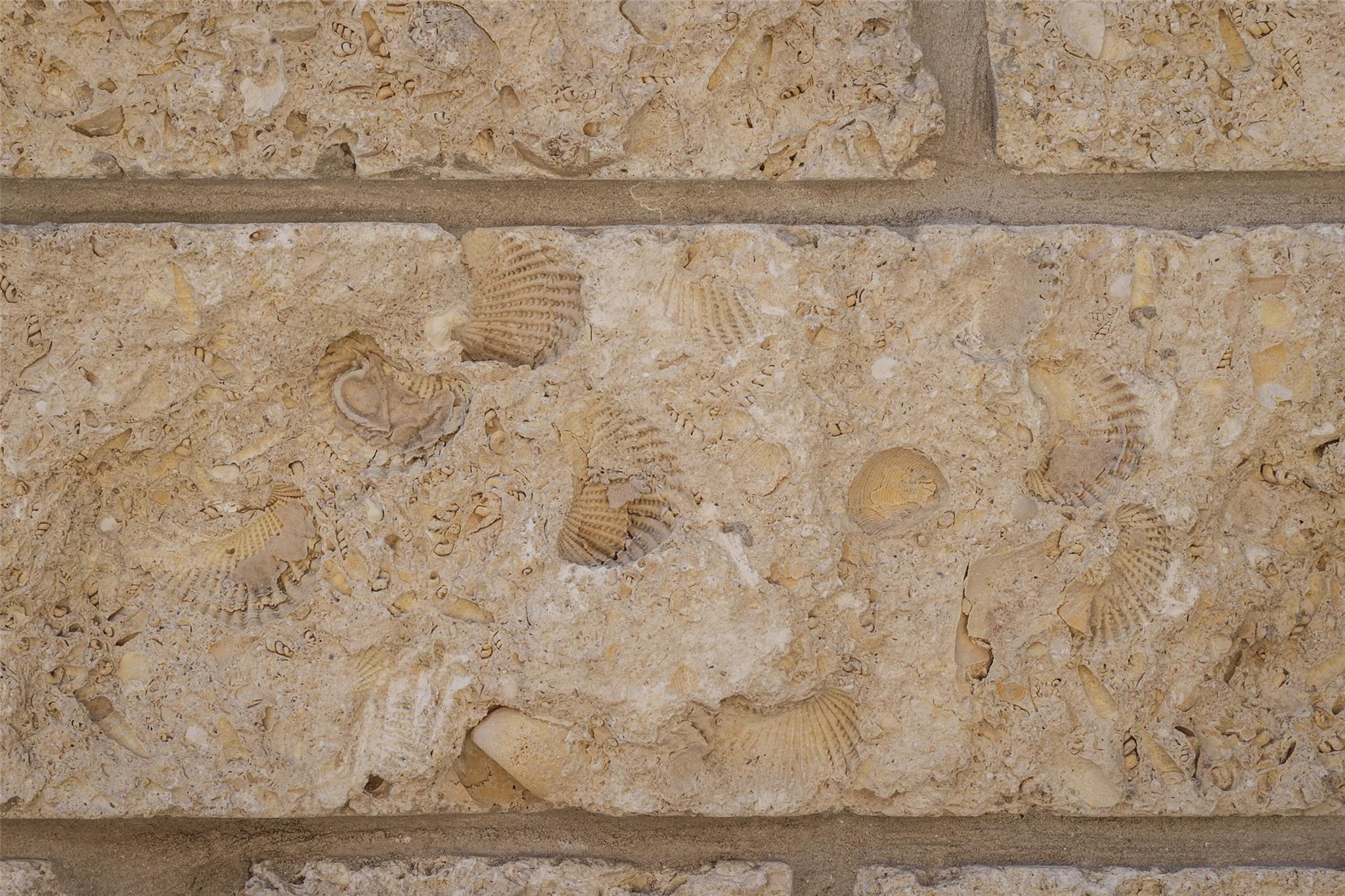 Image 10 of 38 For 3500 Pecan Springs Rd 10