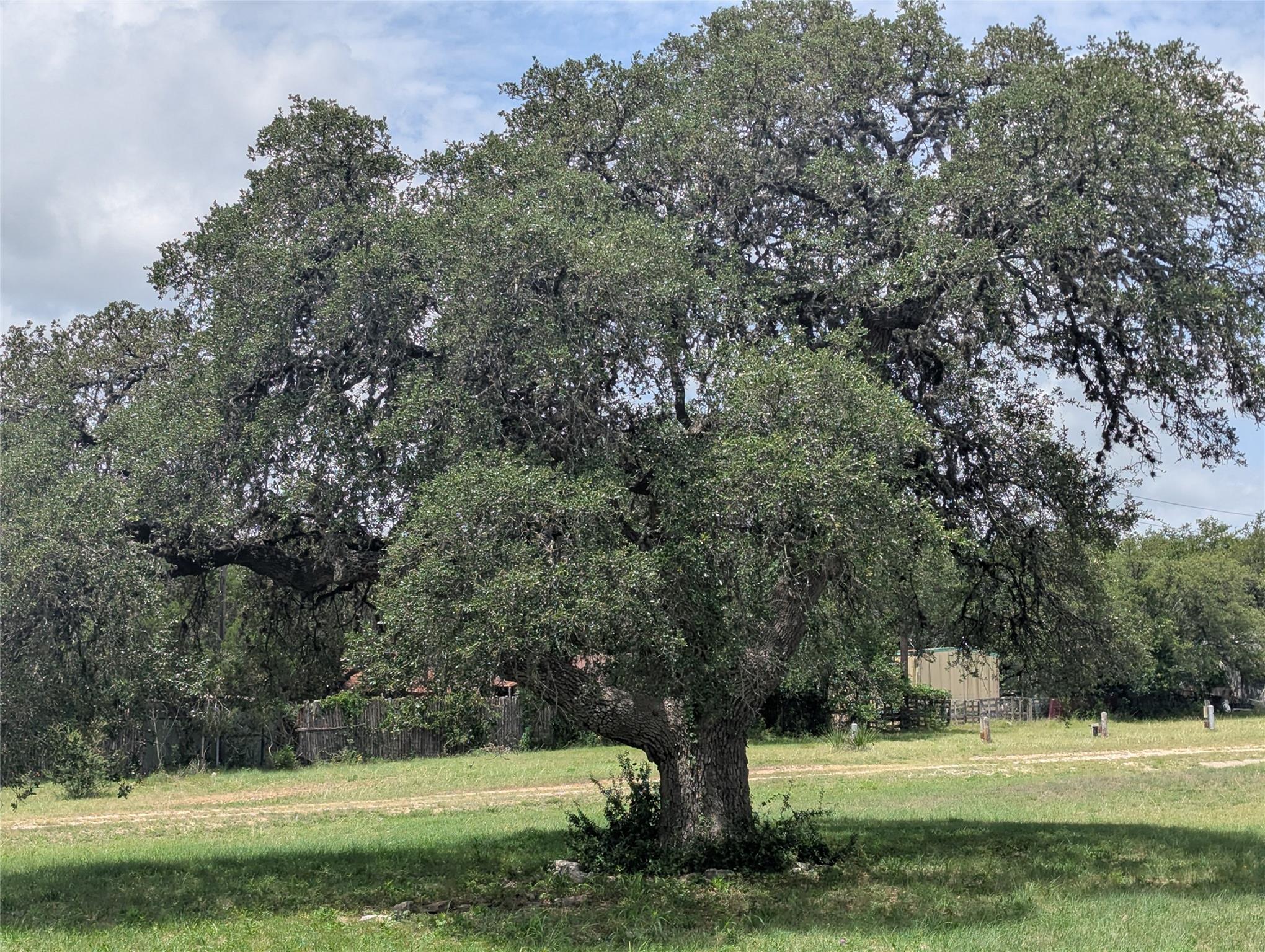Image 7 of 18 For 1917 N Us Hwy 281