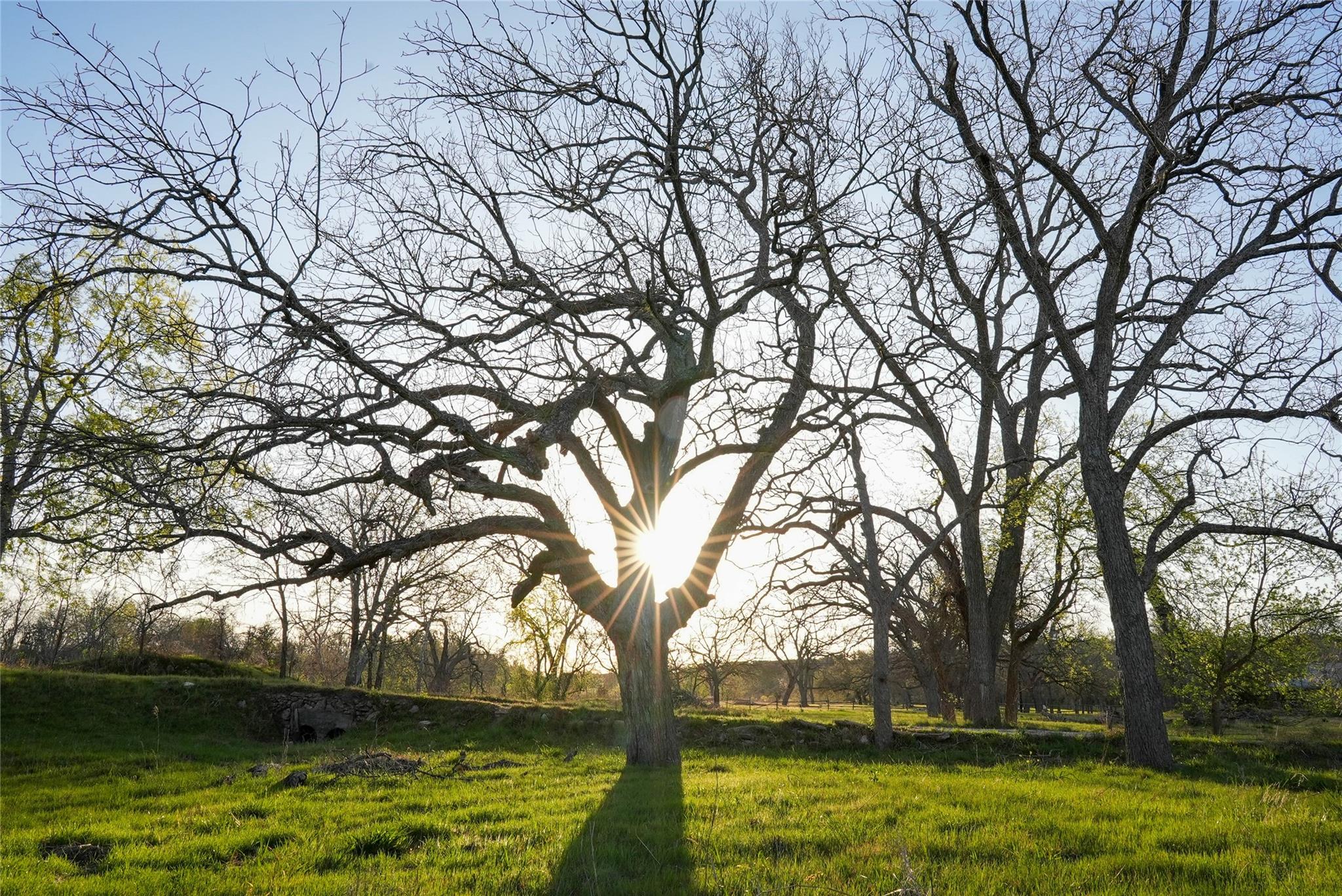 Image 10 of 39 For Tbd Lost Acres Loop