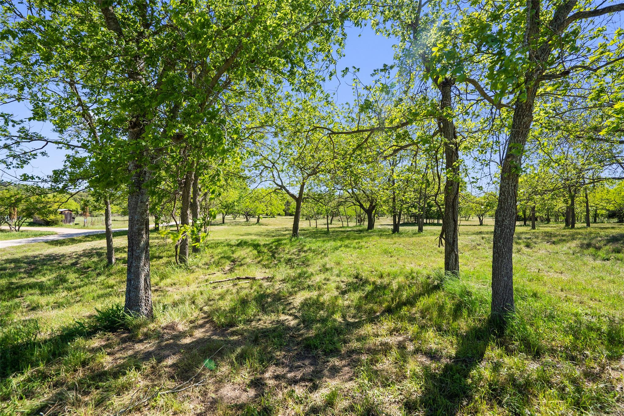 Image 39 of 39 For Tbd Lost Acres Loop