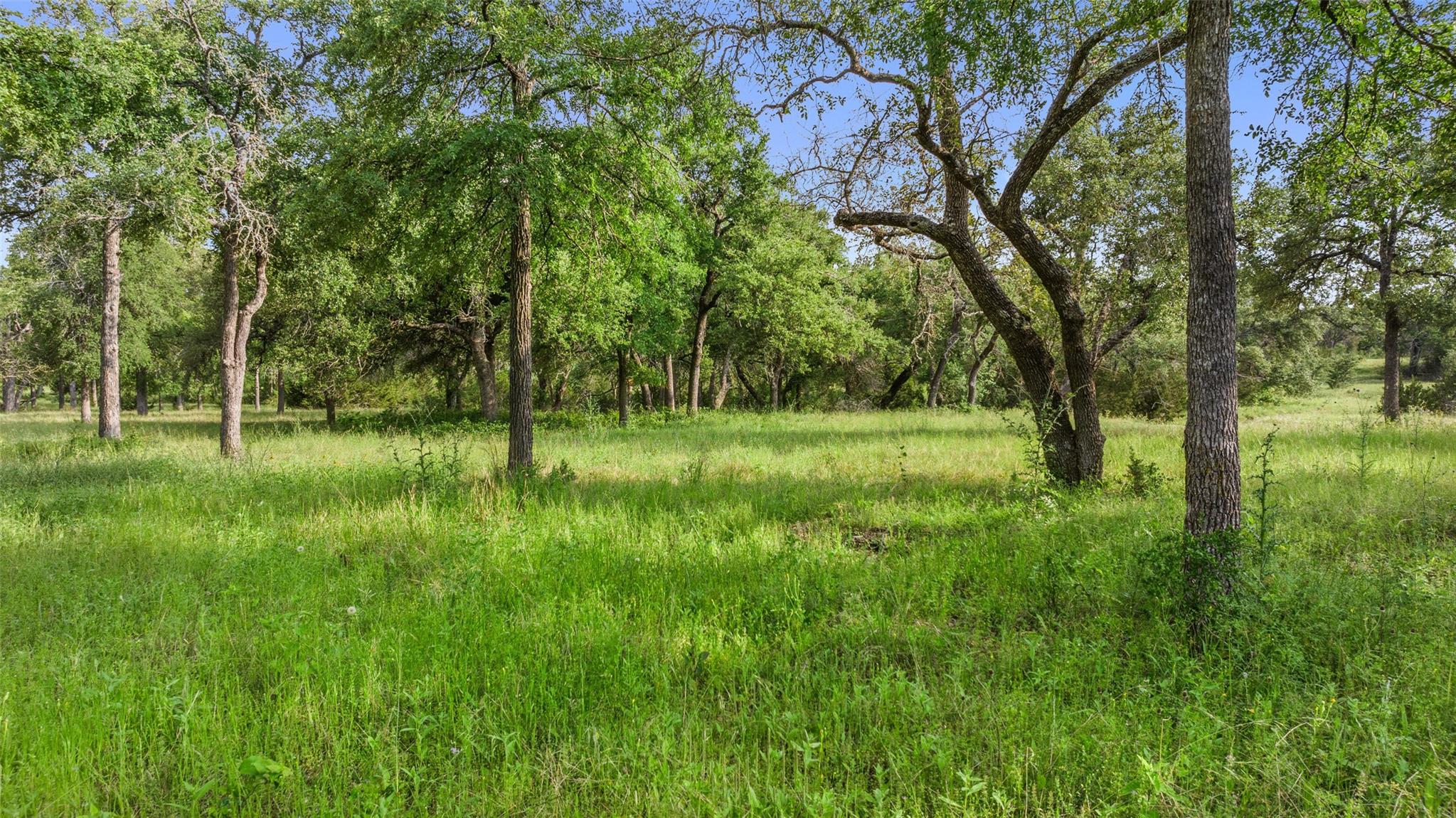 Details for Lot 7 Mesa Alta Ln, Dripping Springs, TX 78620