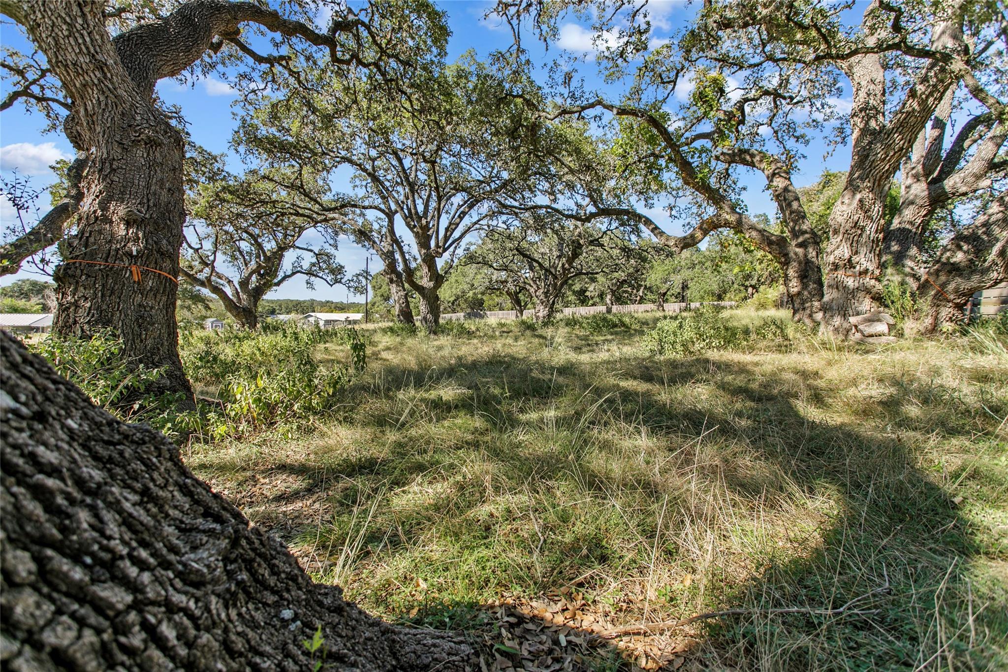 Image 5 of 14 For 1410 Greenlawn Pkwy