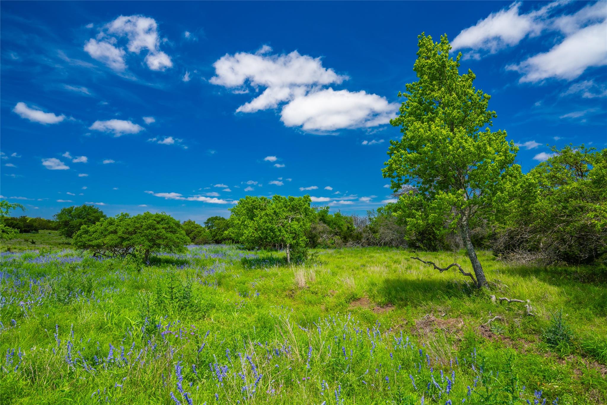 Details for 0 Jung Rd , Fredericksburg, TX 78631