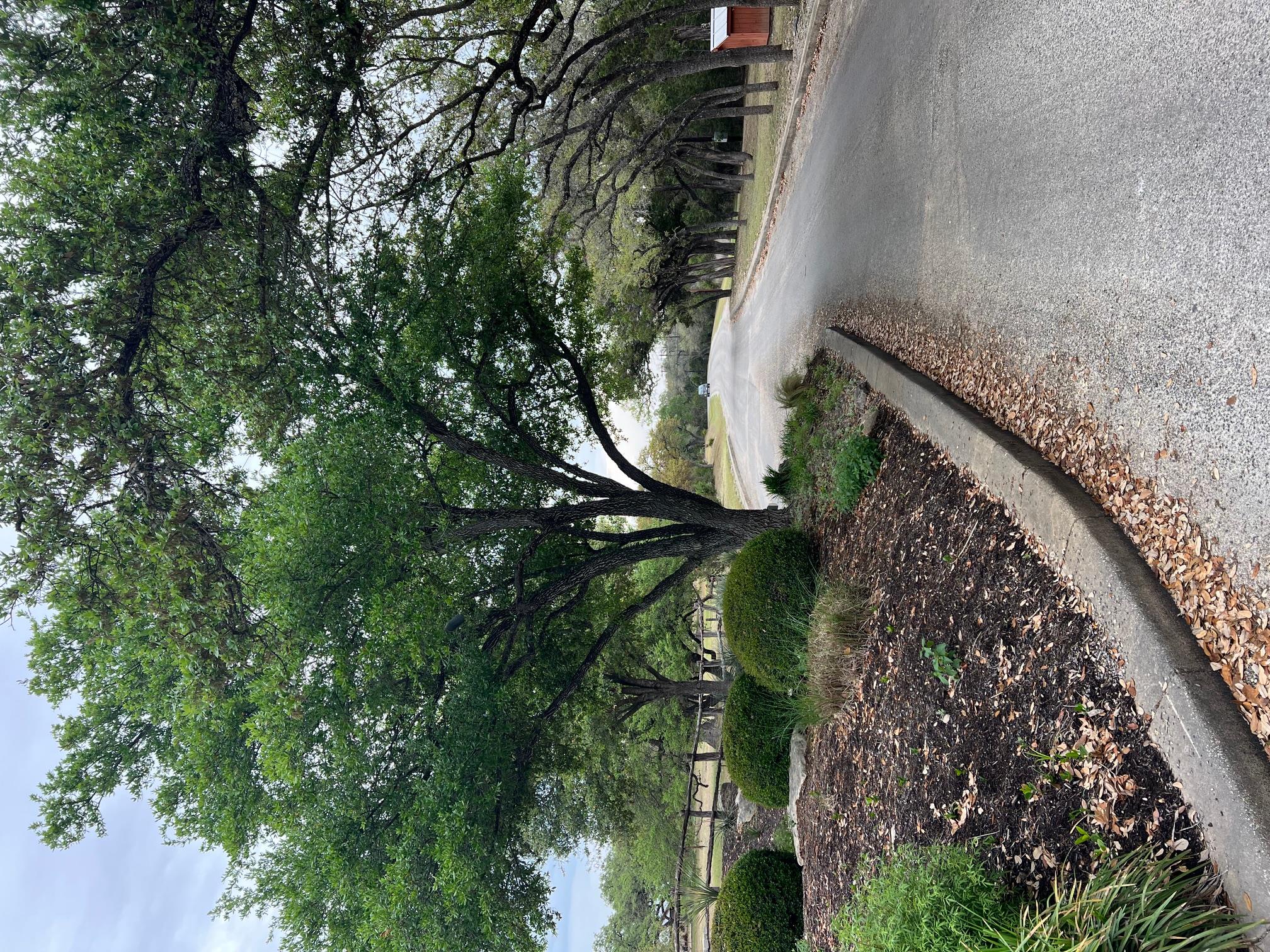 Details for Lot 67 Broken Spoke 5 Acres, Canyon Lake, TX 78133