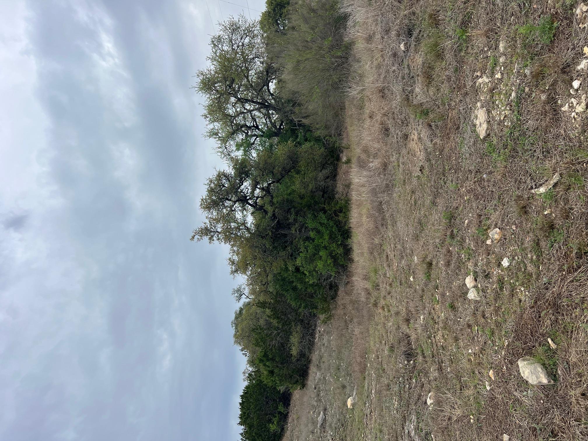 Image 5 of 9 For Lot 67 Broken Spoke 5 Acres