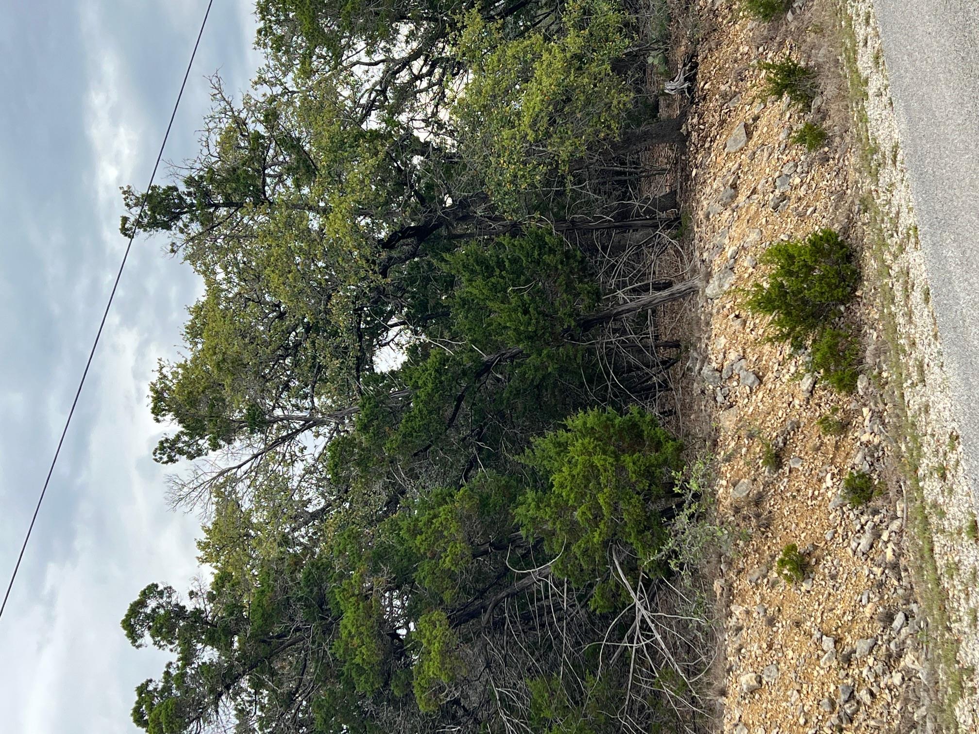 Image 8 of 9 For Lot 67 Broken Spoke 5 Acres