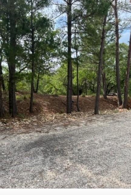 Details for Lot 1114 Kaohikaipu Dr, Bastrop, TX 78602