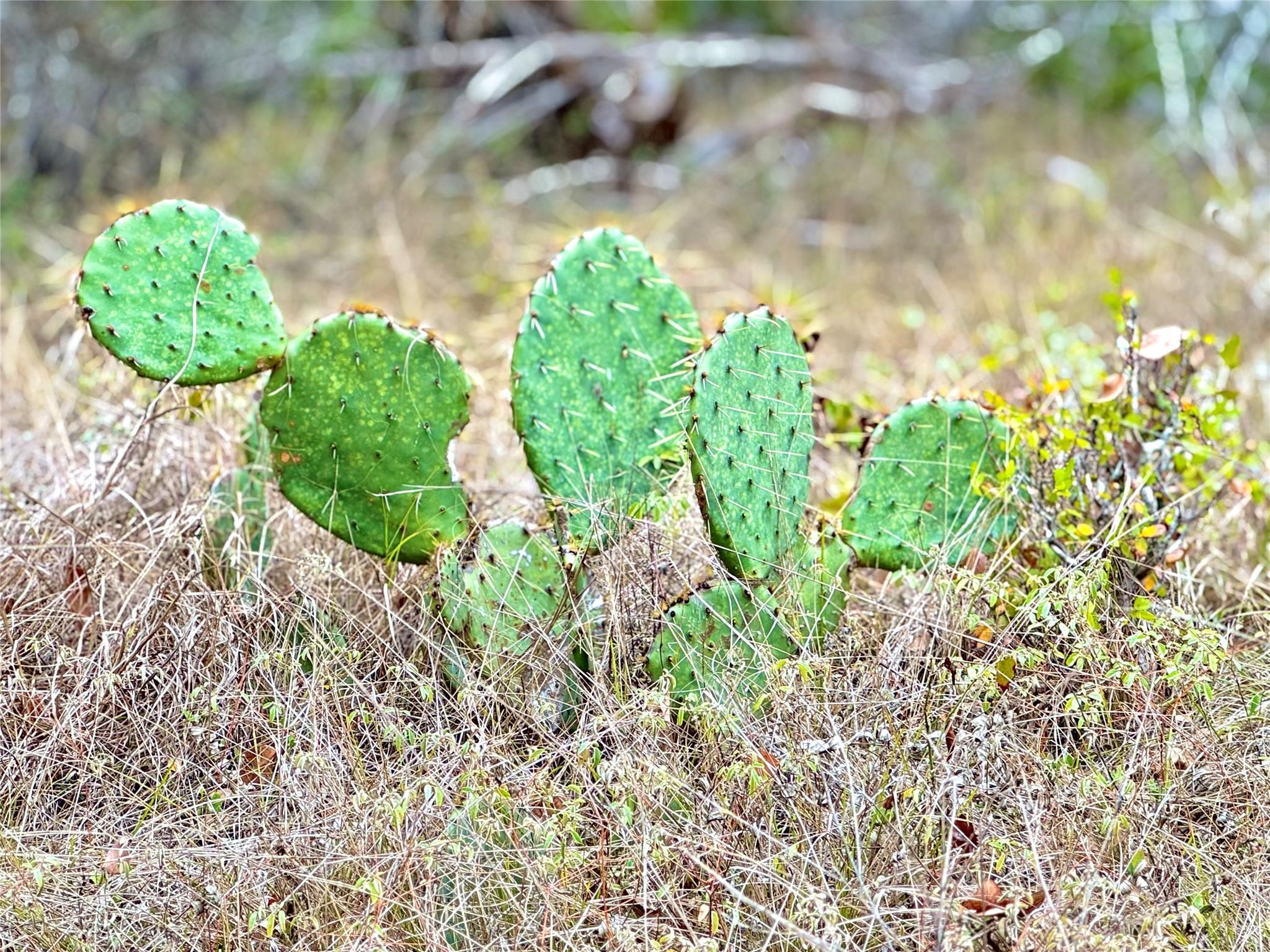 Image 10 of 11 For 422 Eagle Ln