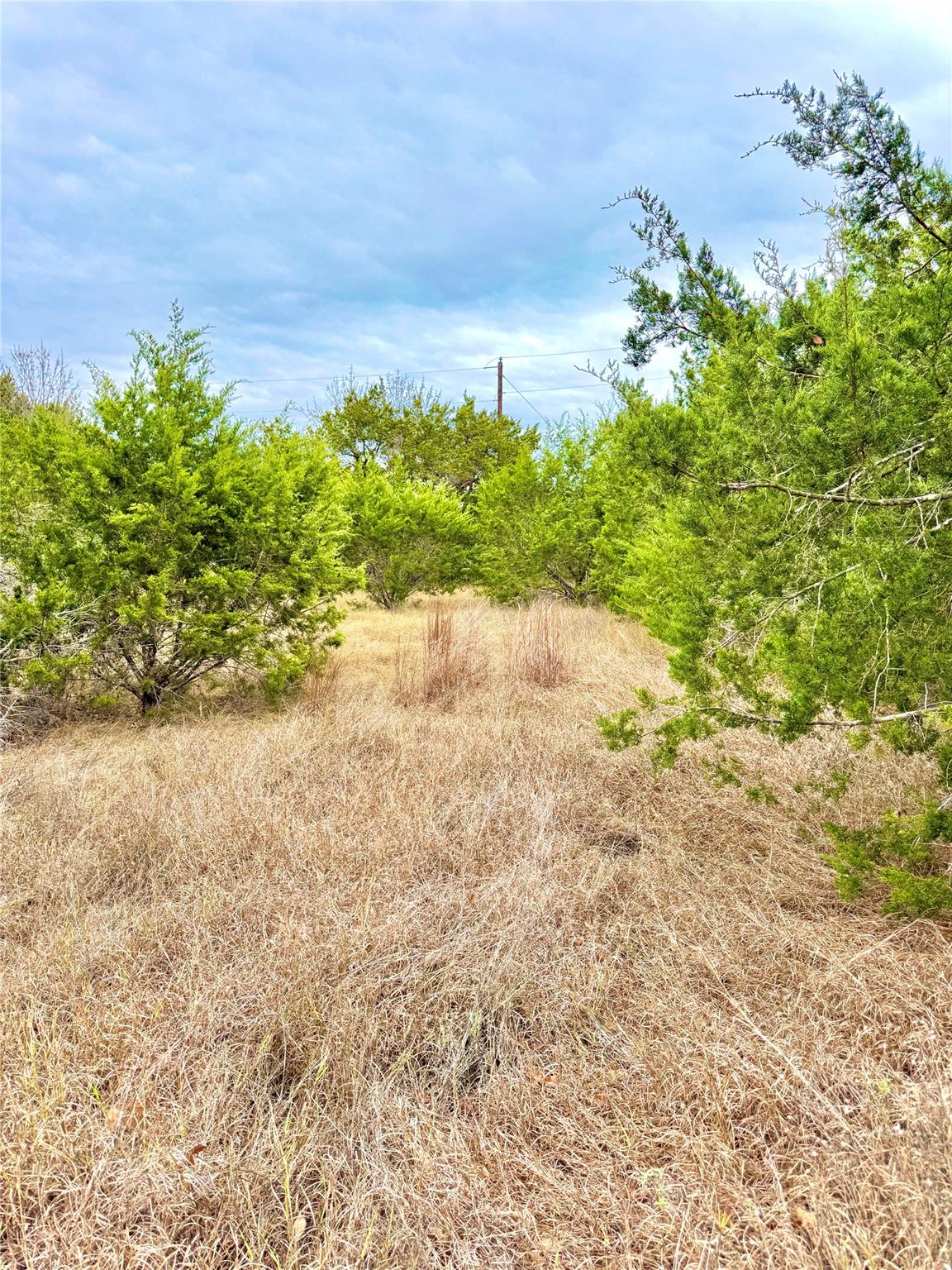 Image 3 of 11 For 422 Eagle Ln