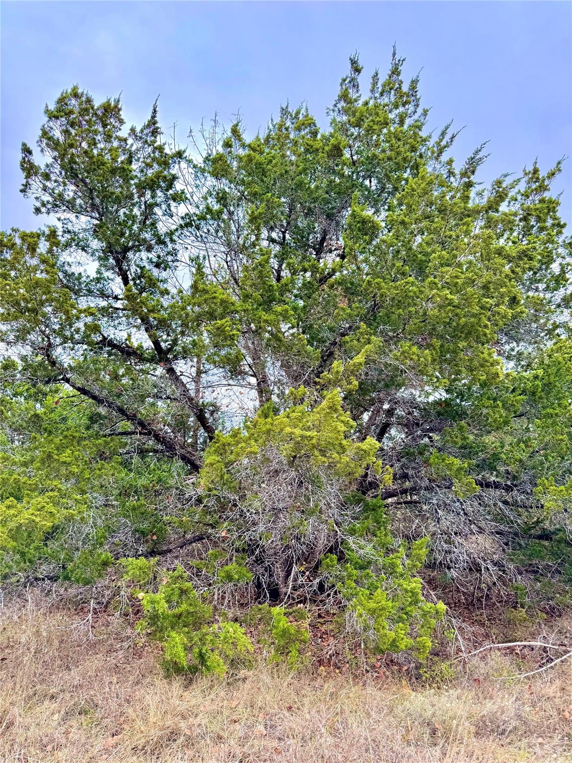 Image 4 of 11 For 422 Eagle Ln