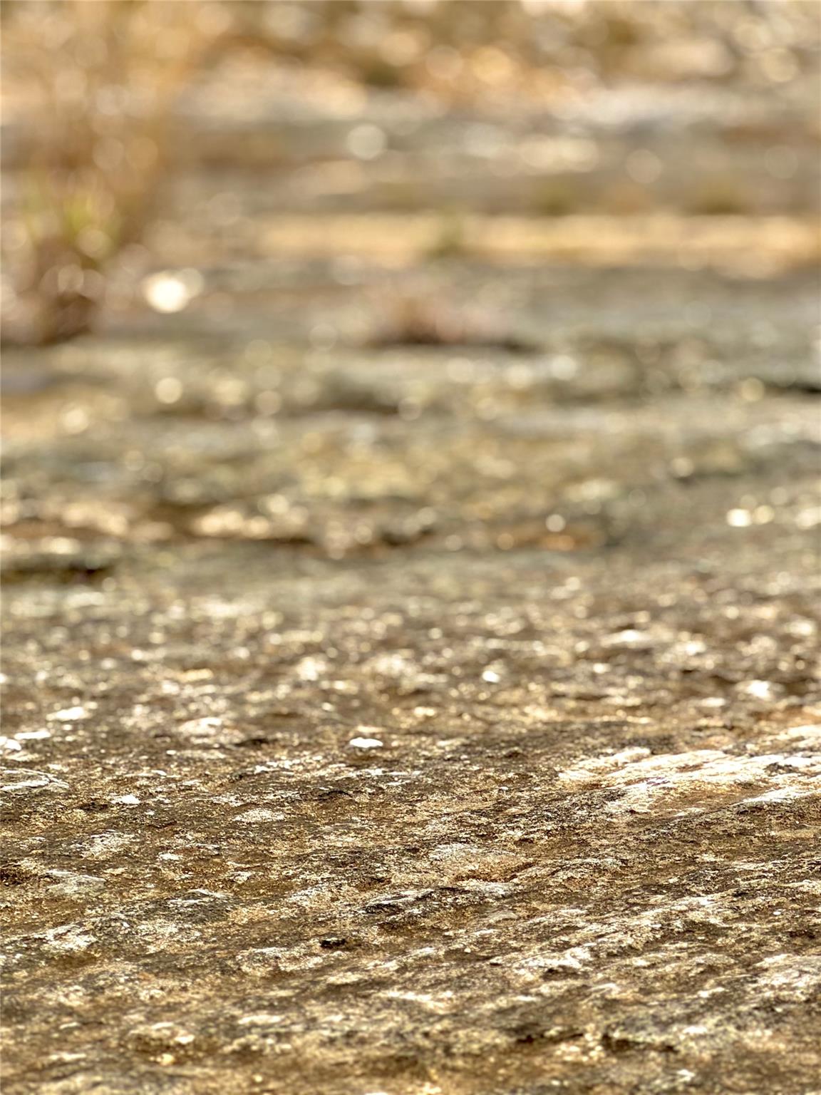 Image 7 of 11 For 422 Eagle Ln