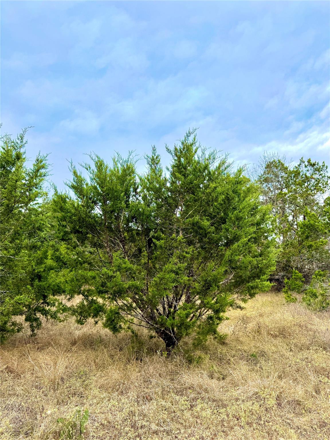 Image 9 of 11 For 422 Eagle Ln