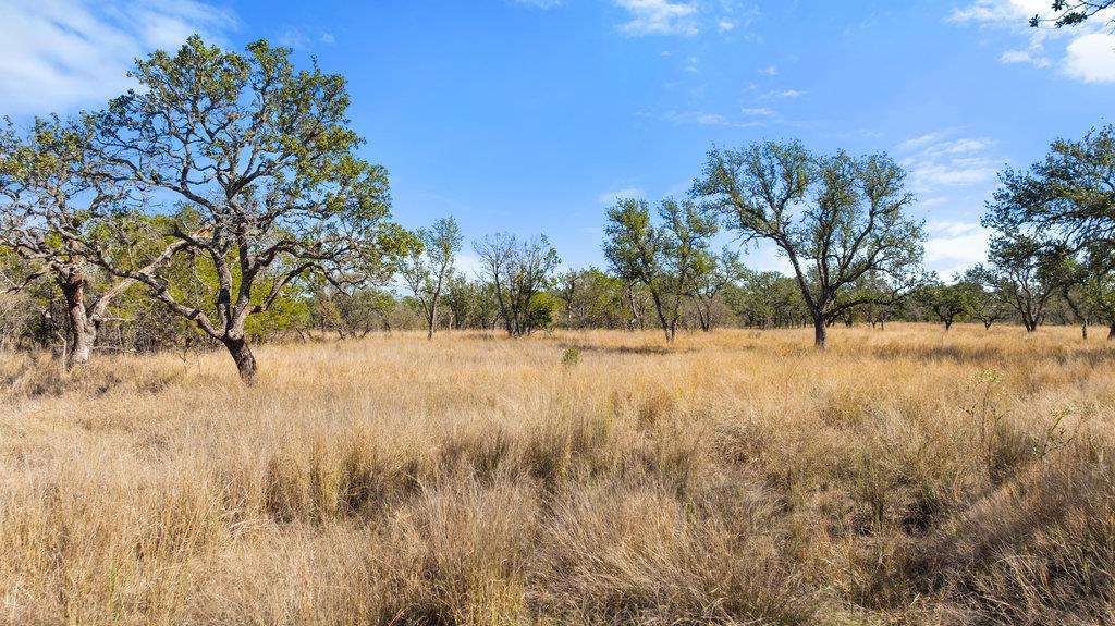 Image 12 of 25 For 1594 Ranch Road 1320