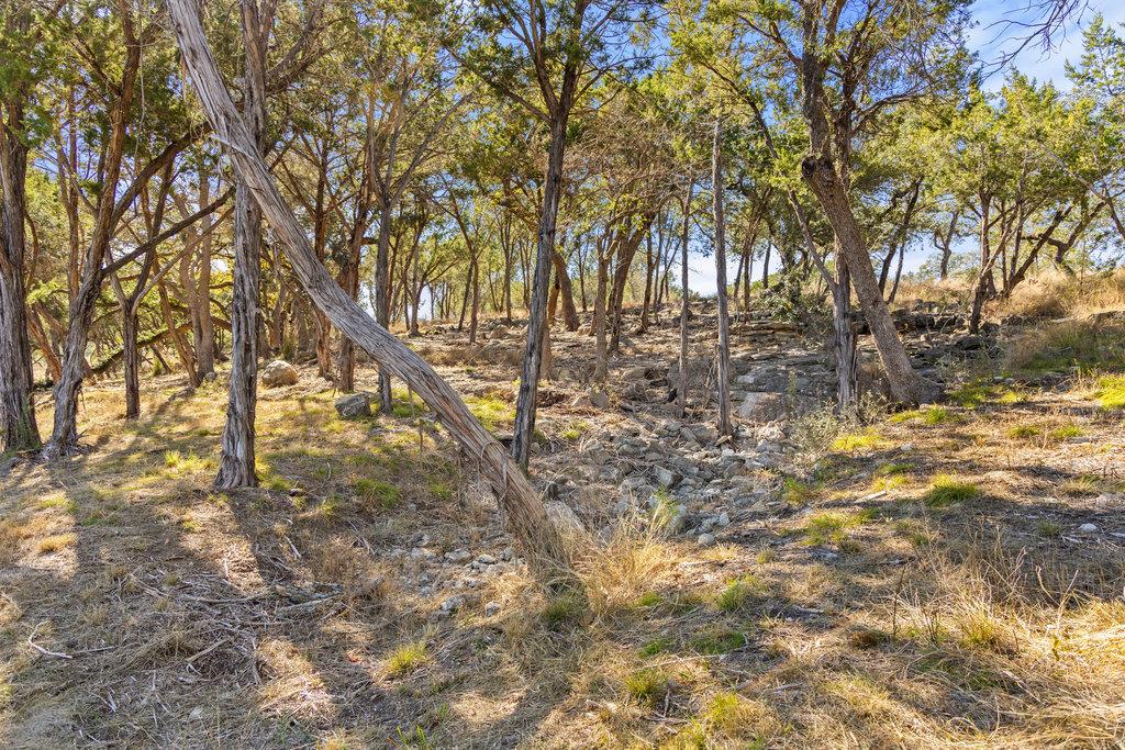 Image 17 of 25 For 1594 Ranch Road 1320