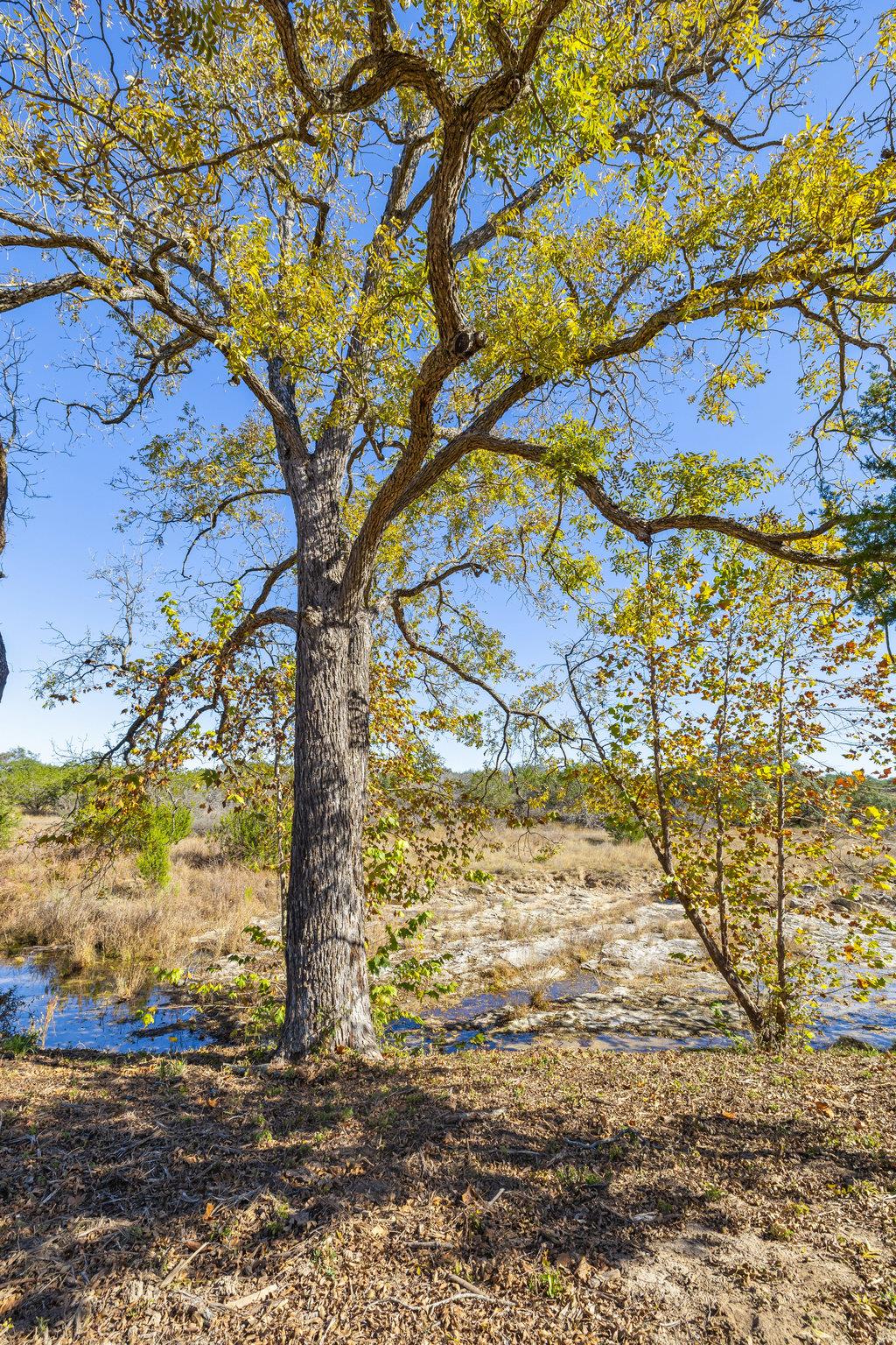 Image 19 of 25 For 1594 Ranch Road 1320