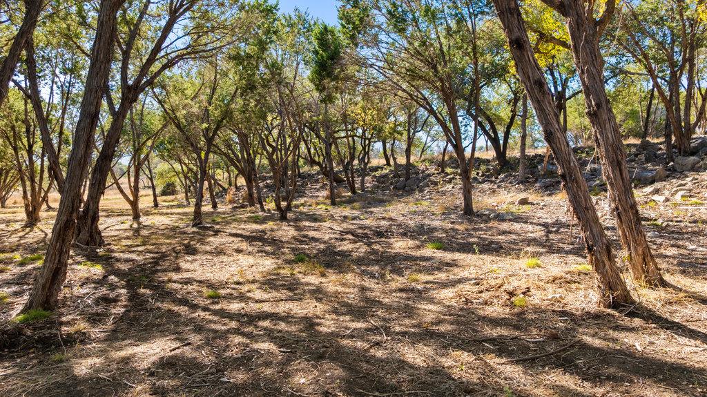 Image 9 of 25 For 1594 Ranch Road 1320