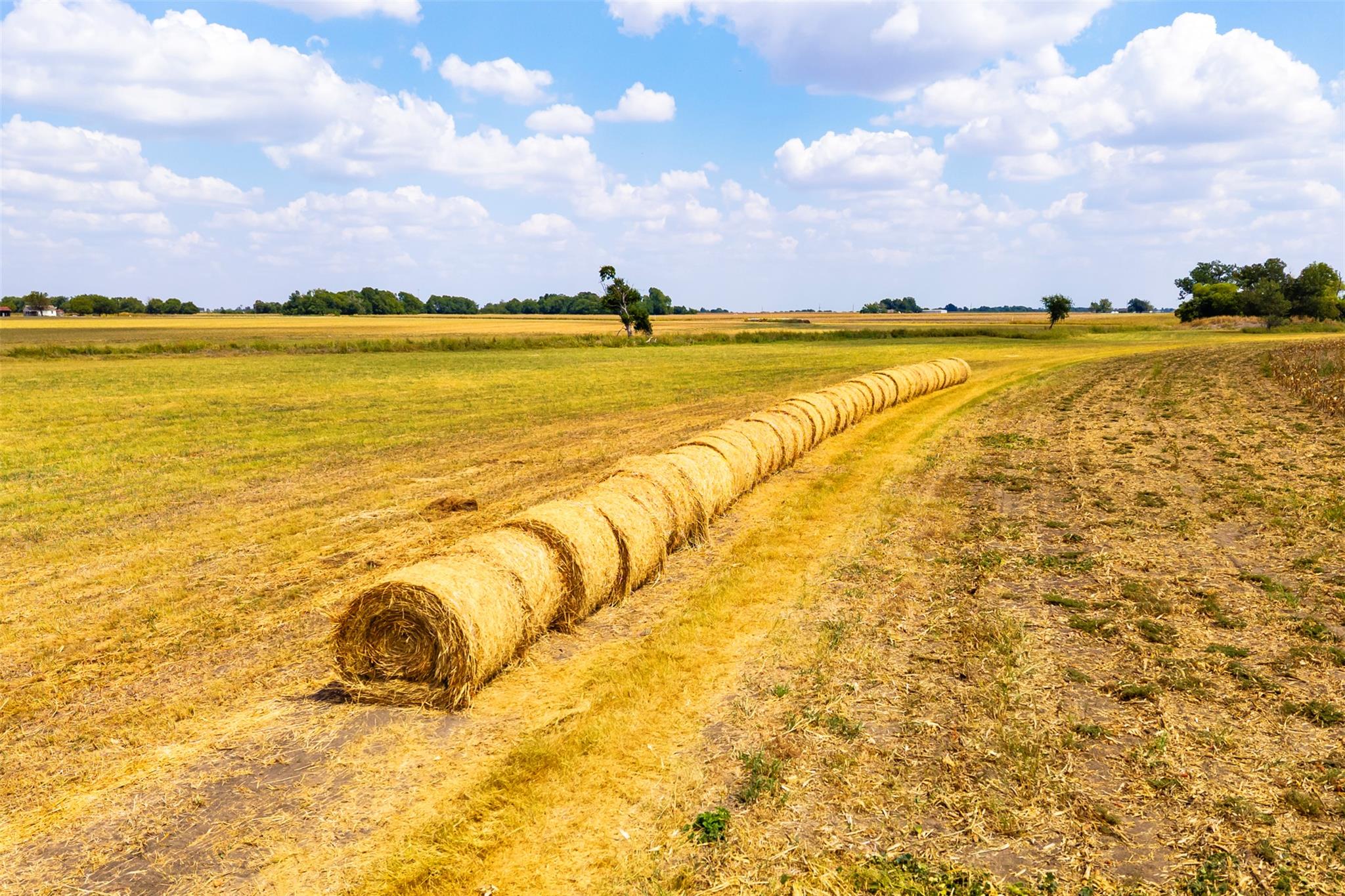 Image 12 of 21 For Tbd Fm 1660  