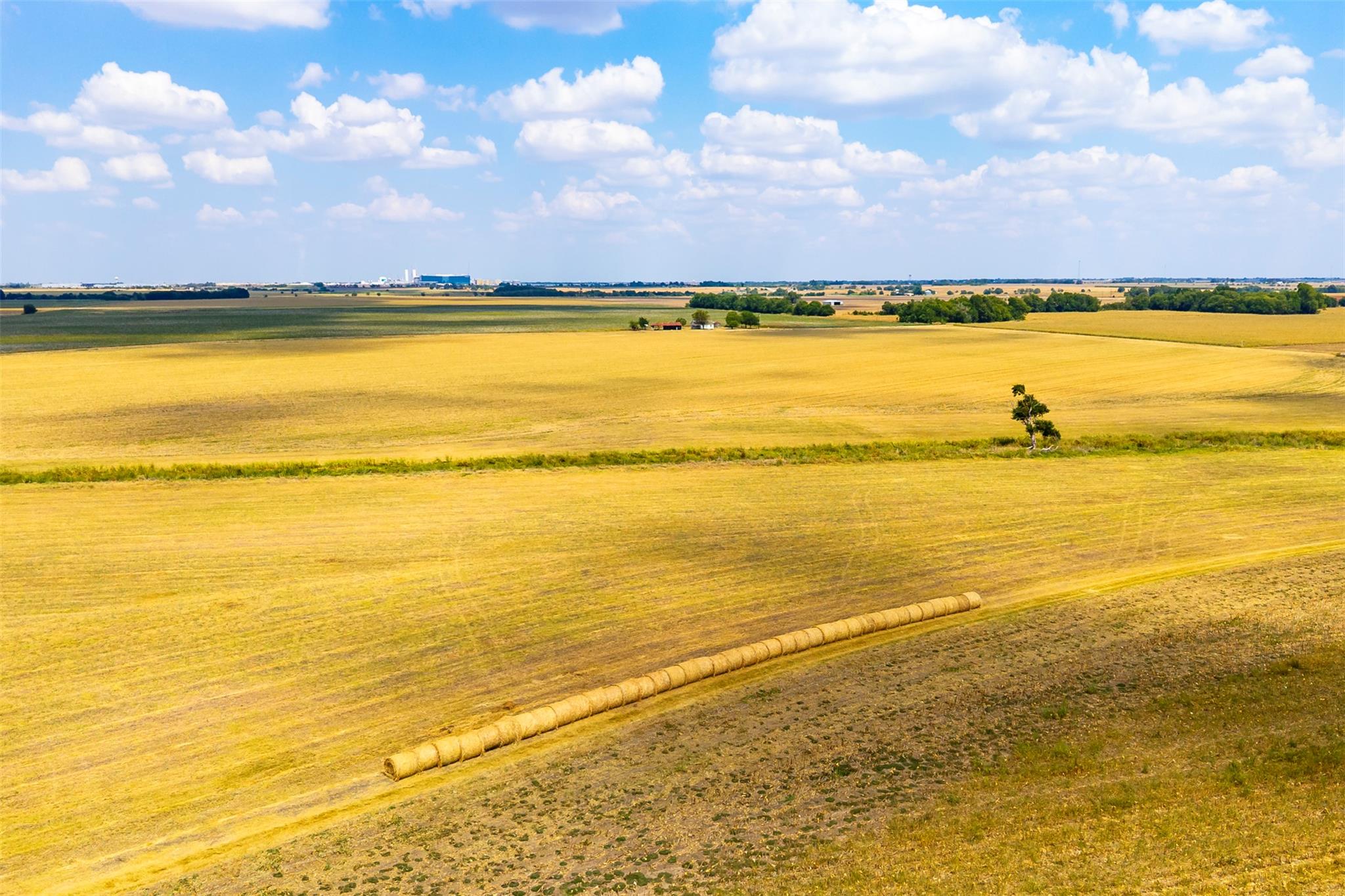 Image 16 of 21 For Tbd Fm 1660  