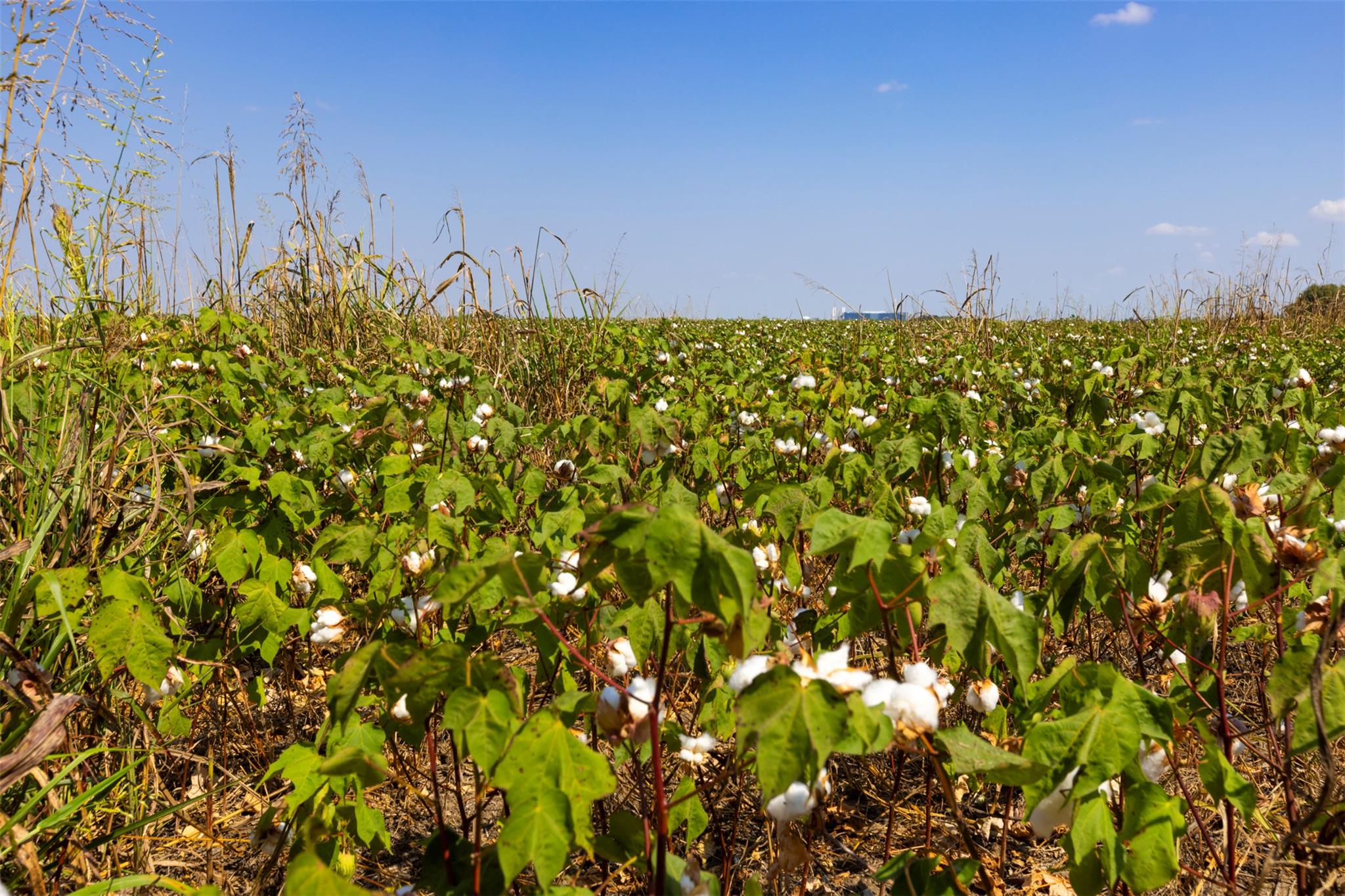 Image 19 of 21 For Tbd Fm 1660  