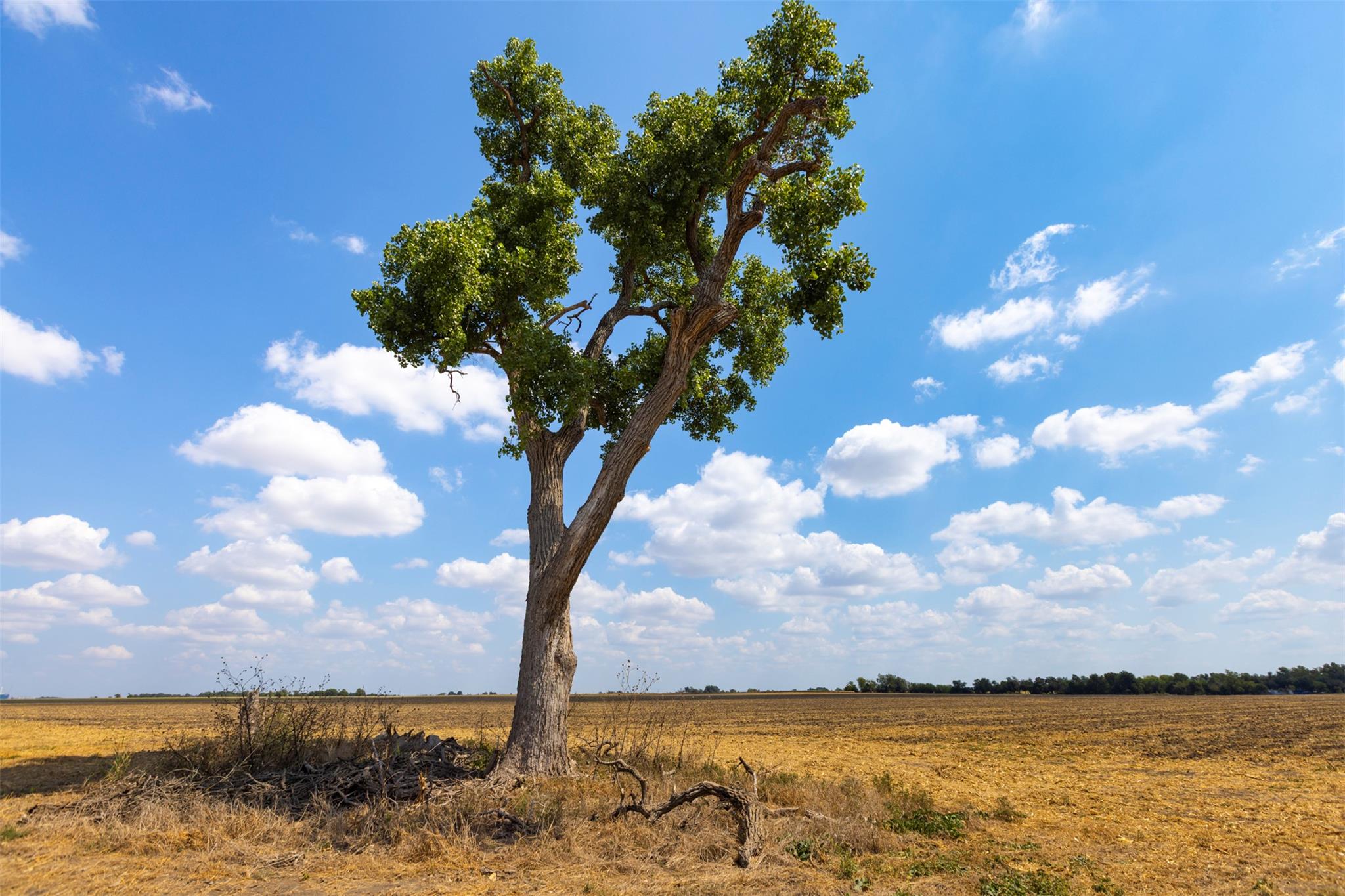 Image 20 of 21 For Tbd Fm 1660  