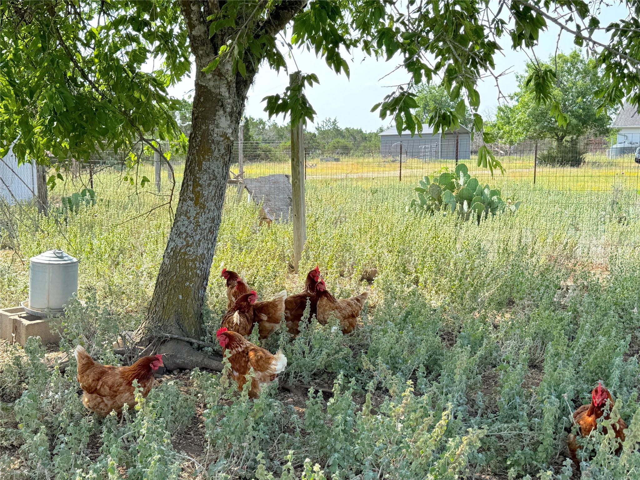 Image 10 of 39 For 12055 Rebecca Creek Rd