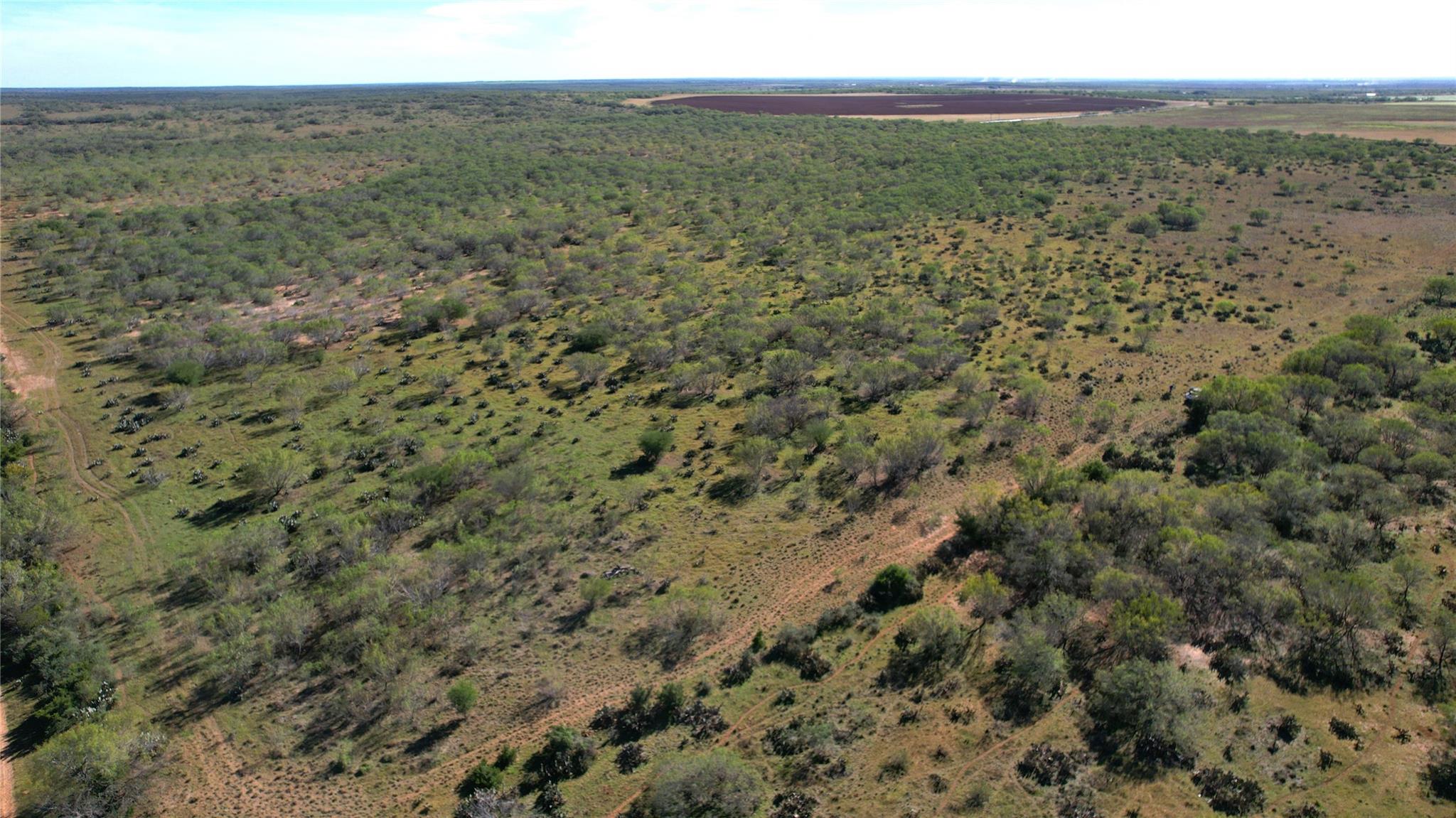 Image 11 of 36 For 1913 County Road 3000