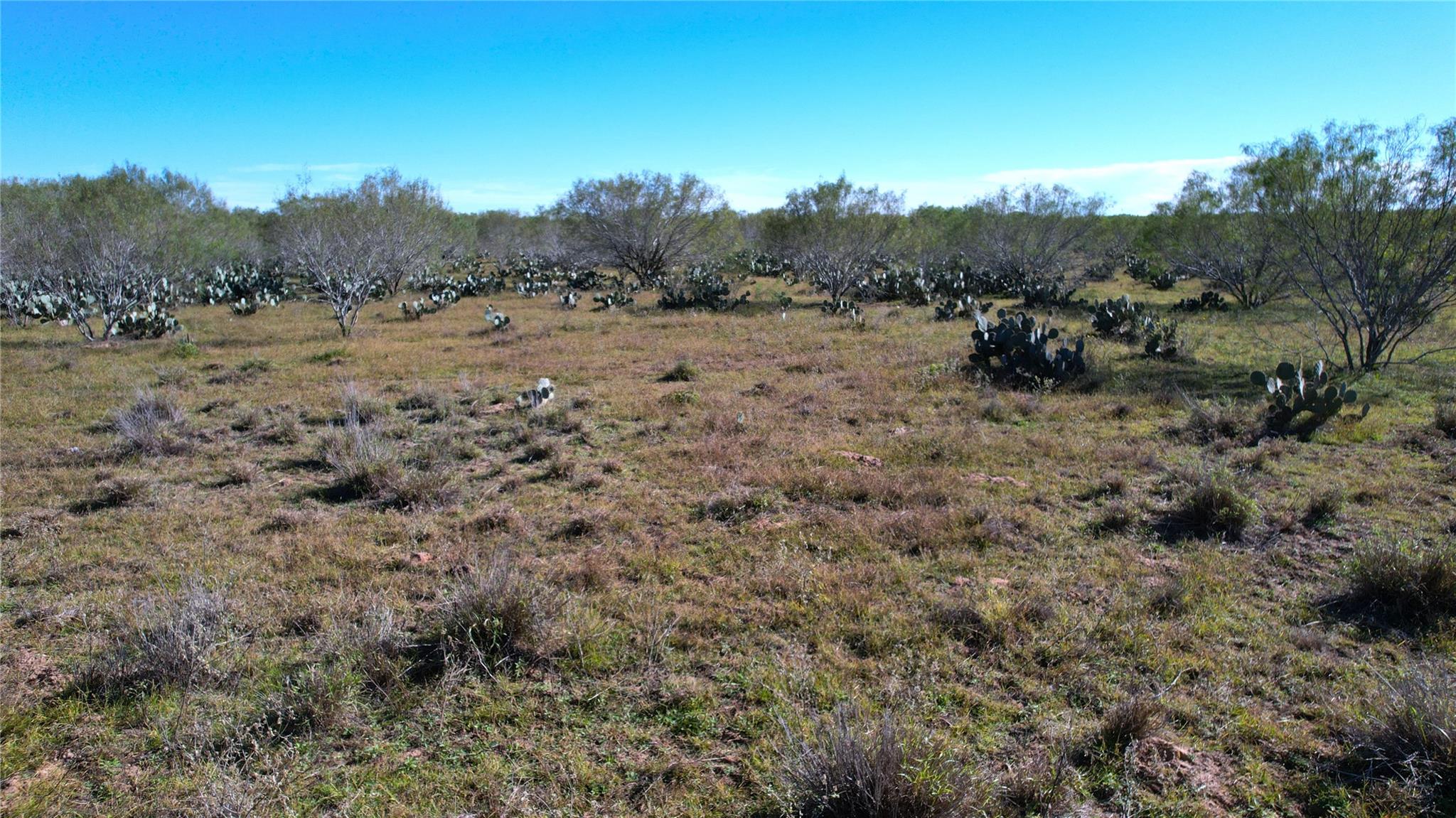 Image 17 of 36 For 1913 County Road 3000