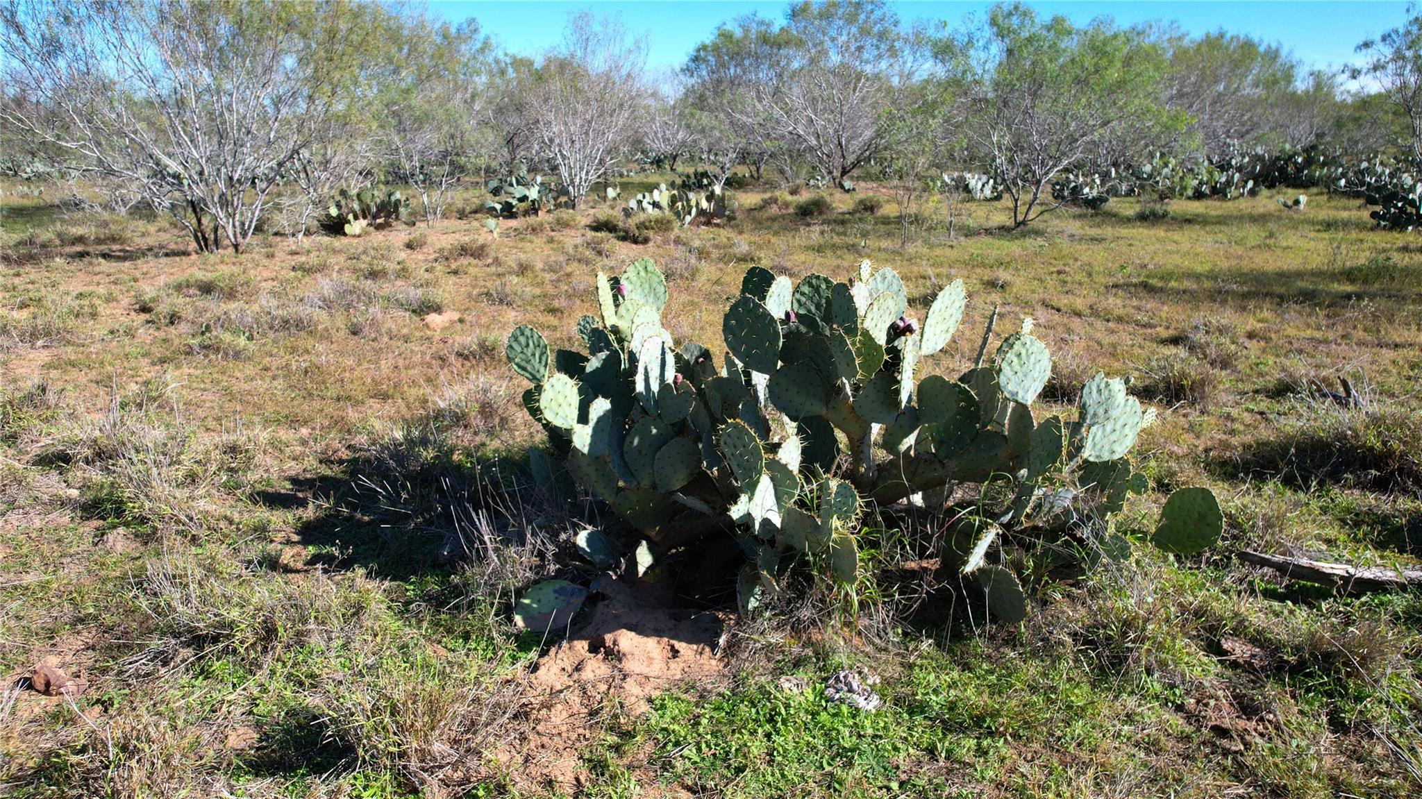 Image 3 of 36 For 1913 County Road 3000