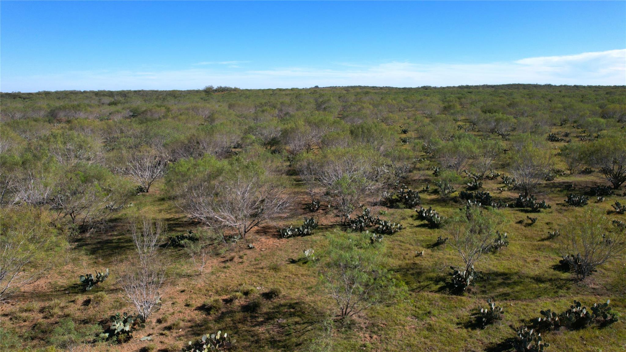 Image 4 of 36 For 1913 County Road 3000