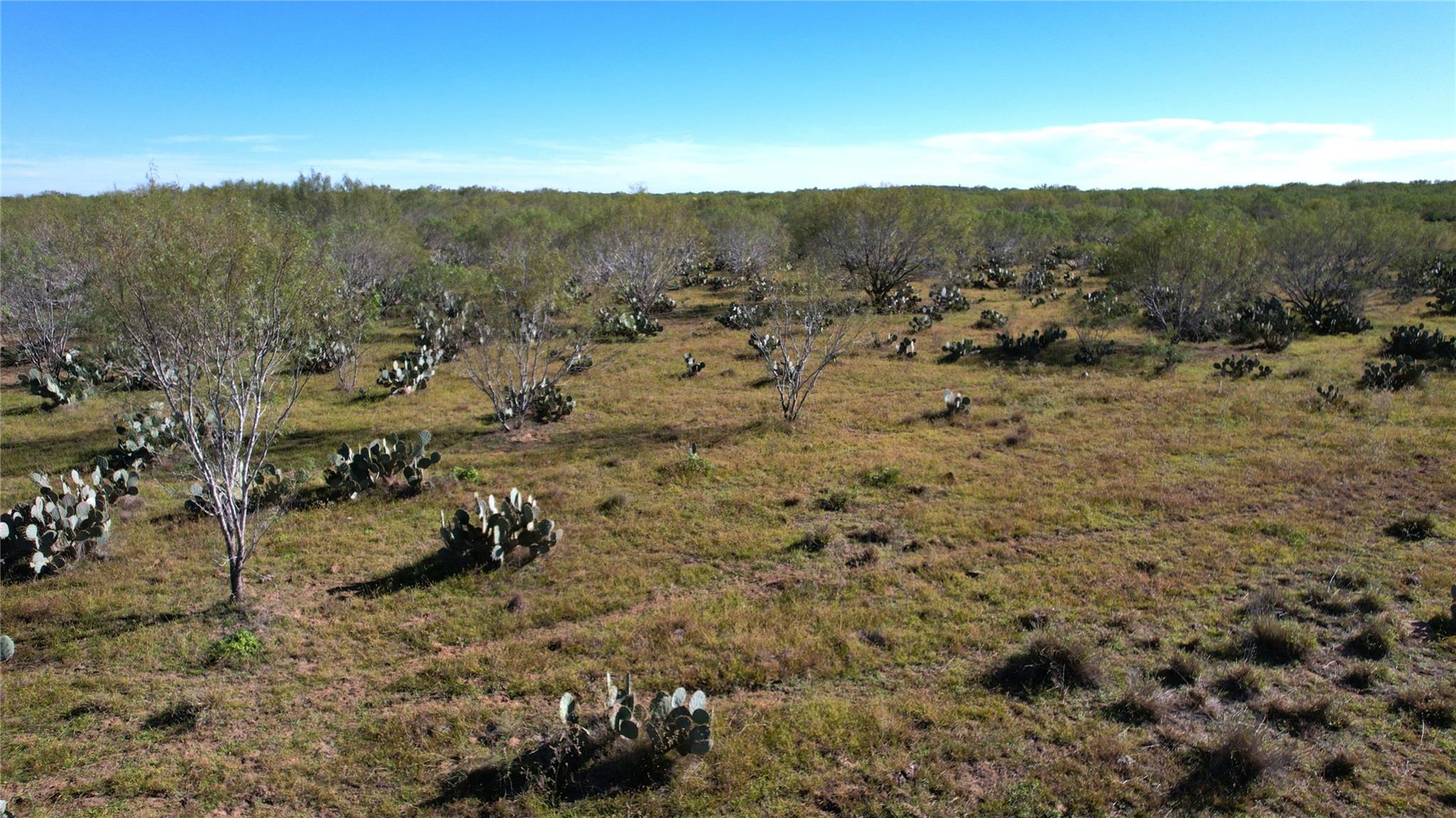 Image 5 of 36 For 1913 County Road 3000