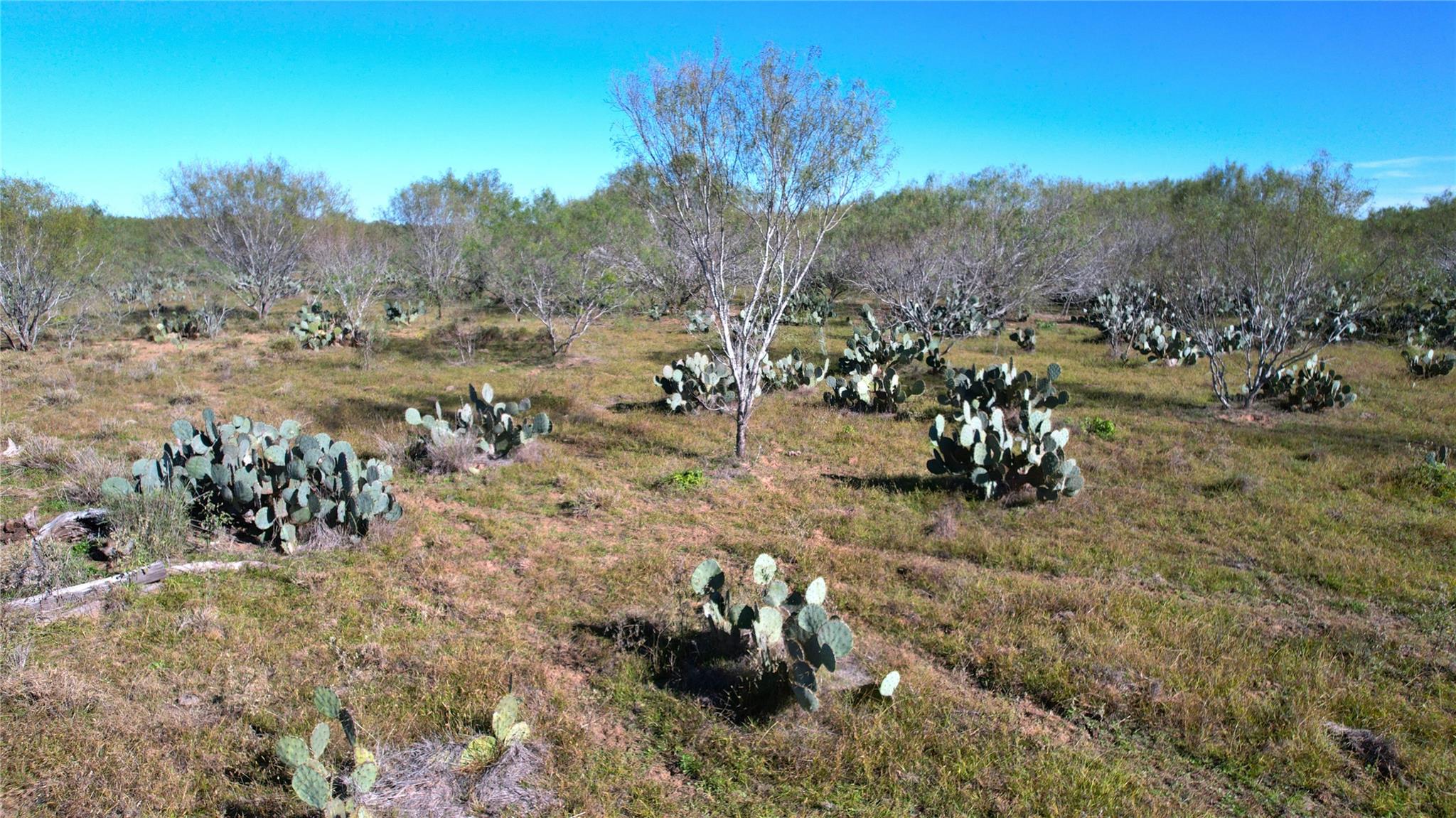 Image 9 of 36 For 1913 County Road 3000