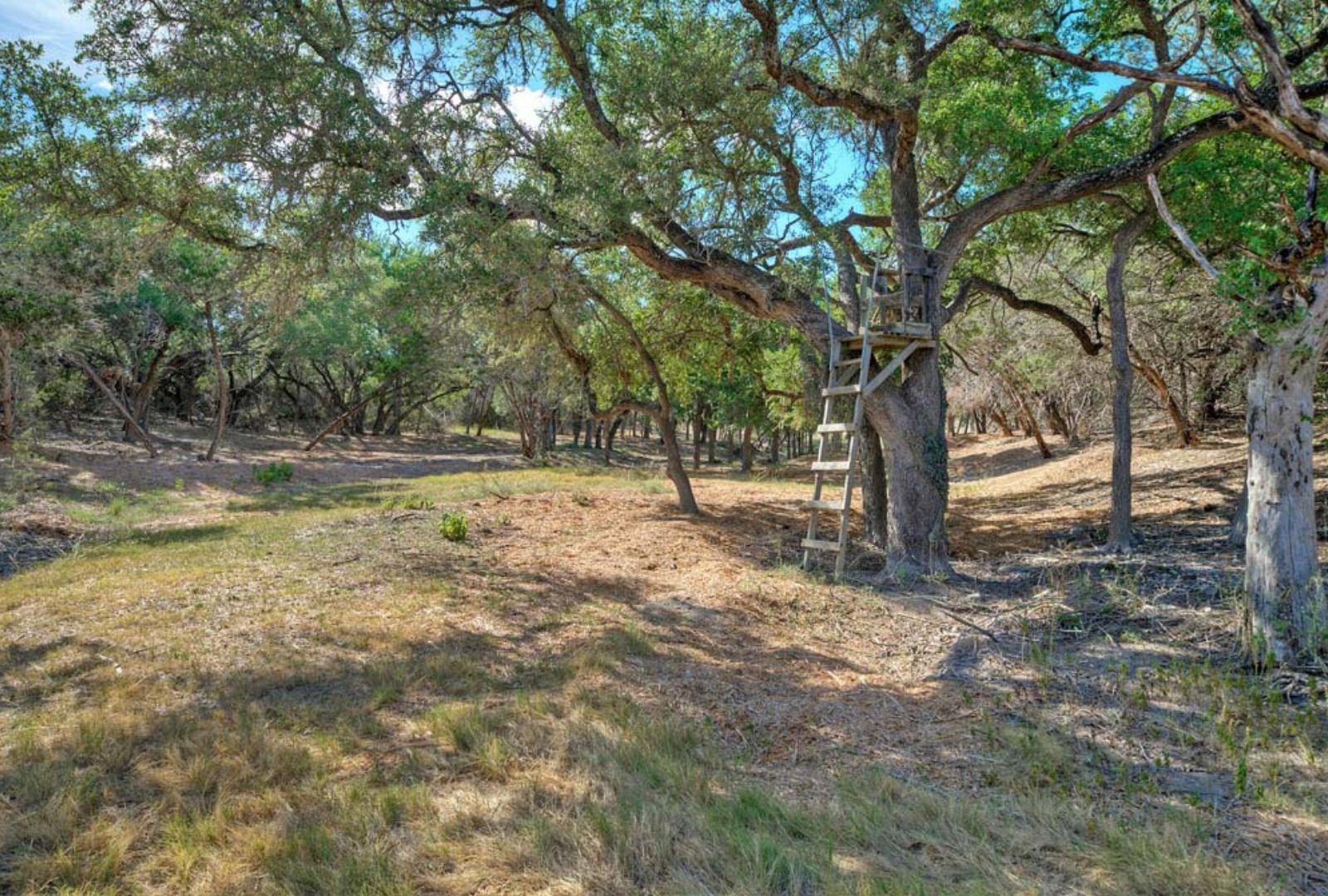 Image 33 of 40 For 0000 Gibson-best Rd