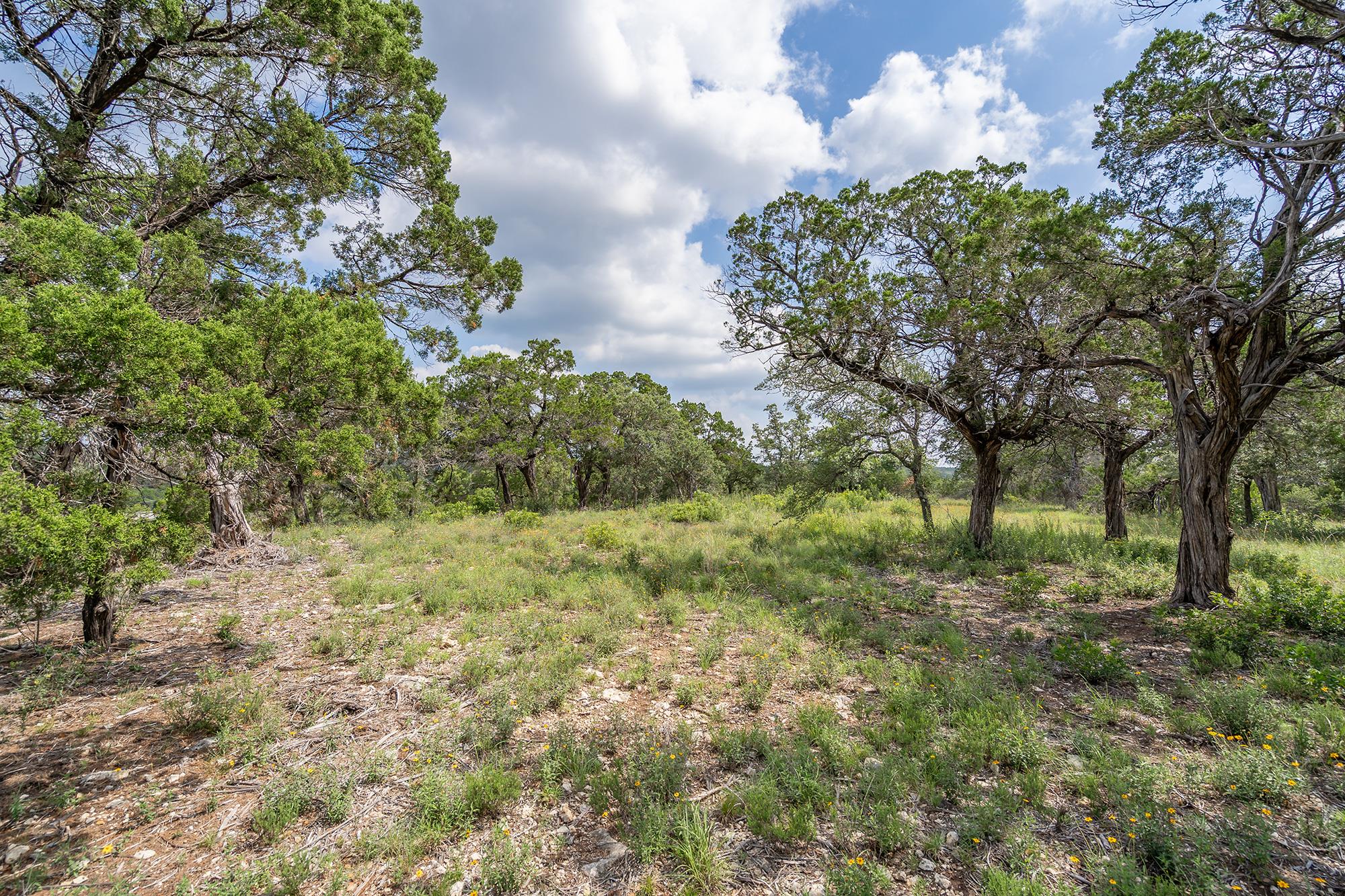 Image 11 of 38 For 19705 Tyler Trl