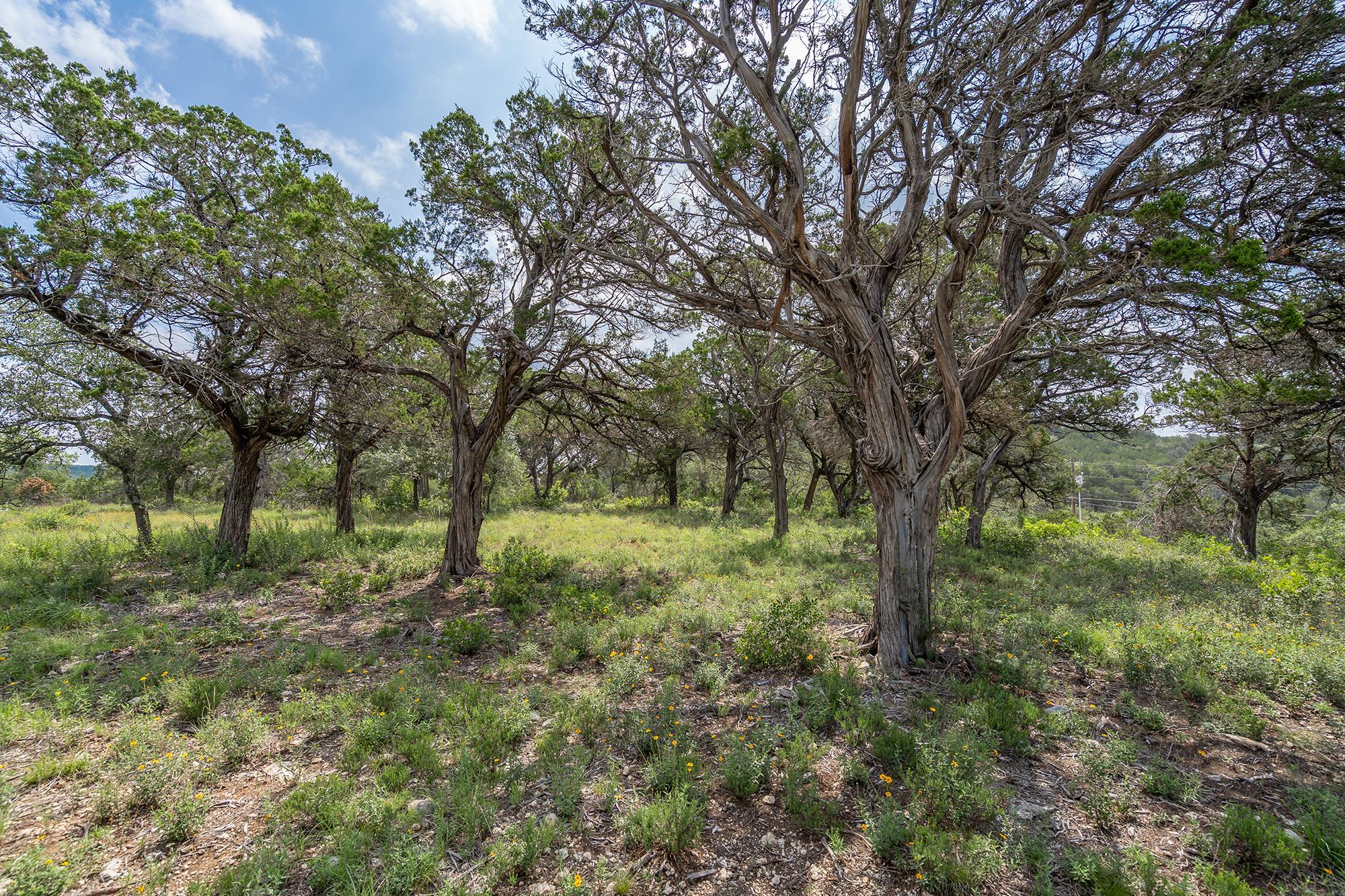 Image 12 of 38 For 19705 Tyler Trl