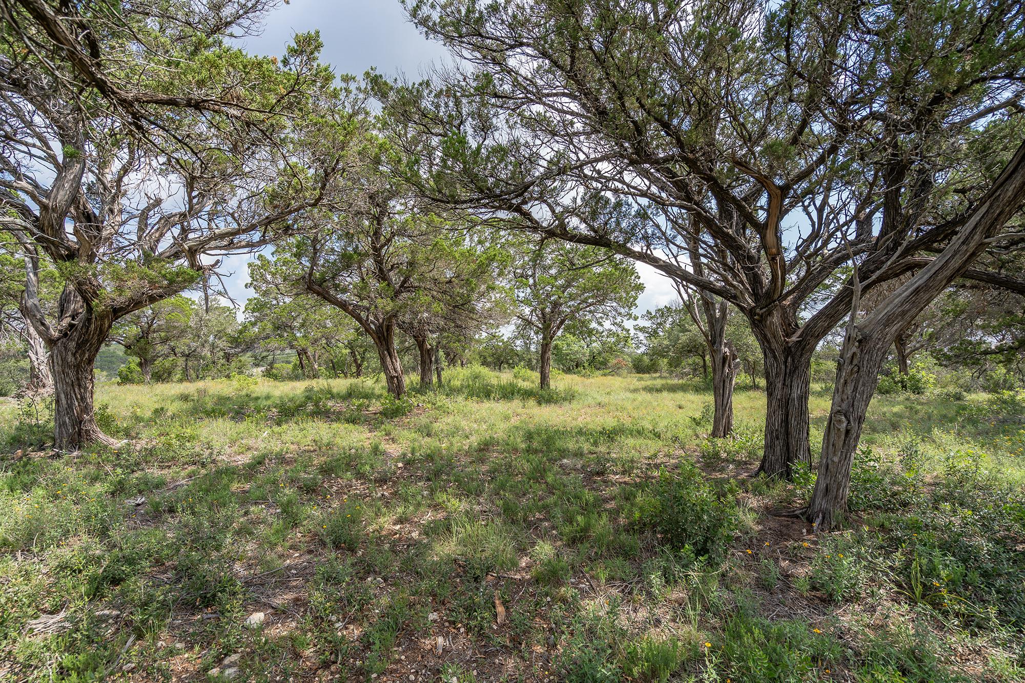 Image 13 of 38 For 19705 Tyler Trl