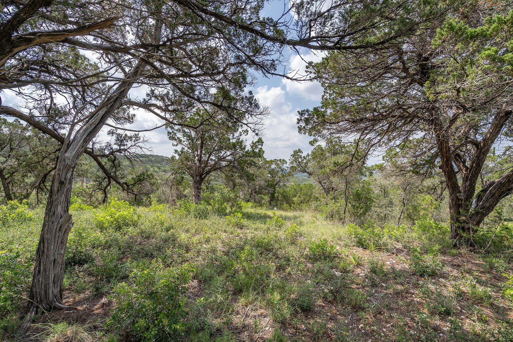 Image 14 of 38 For 19705 Tyler Trl