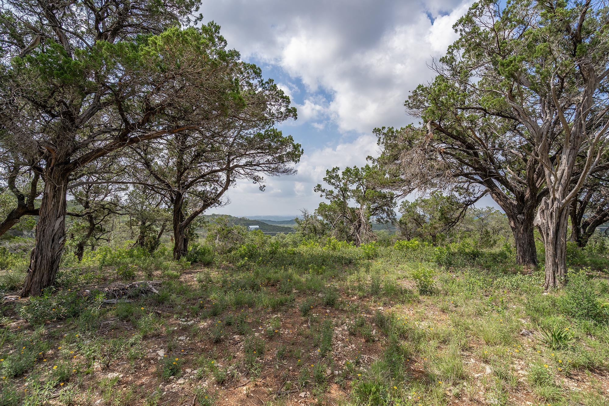 Image 16 of 38 For 19705 Tyler Trl