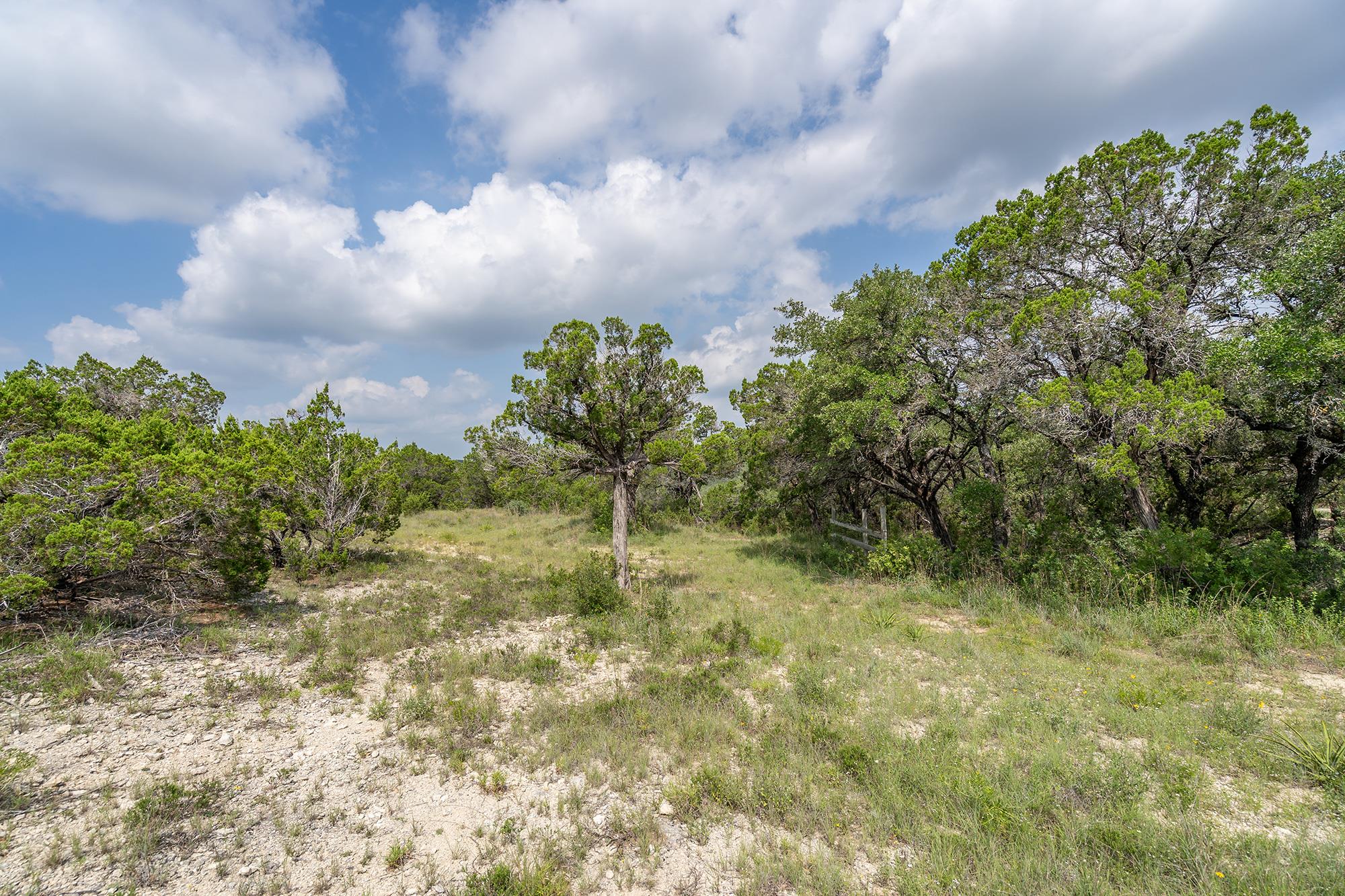 Image 2 of 38 For 19705 Tyler Trl