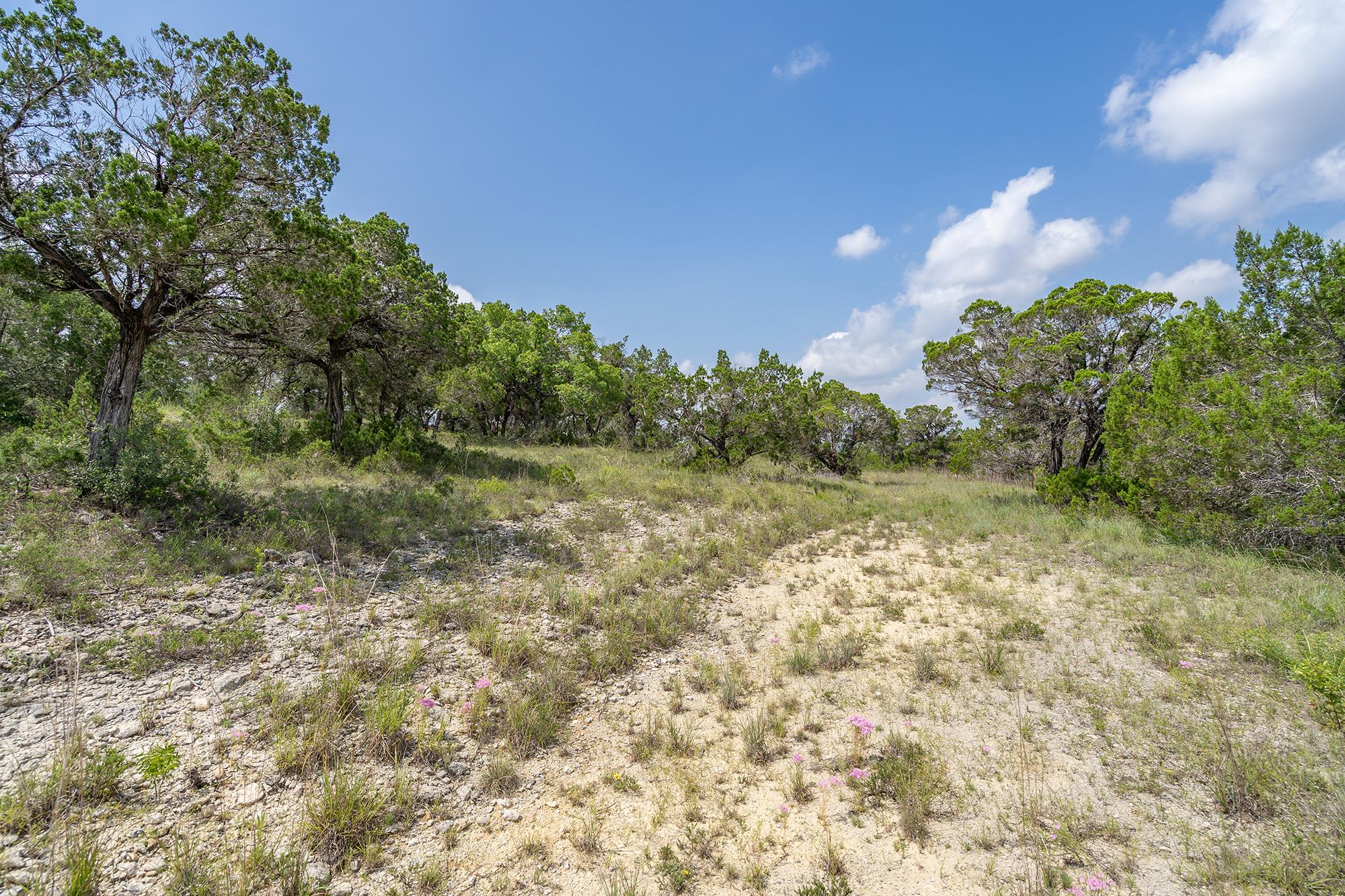 Image 22 of 38 For 19705 Tyler Trl