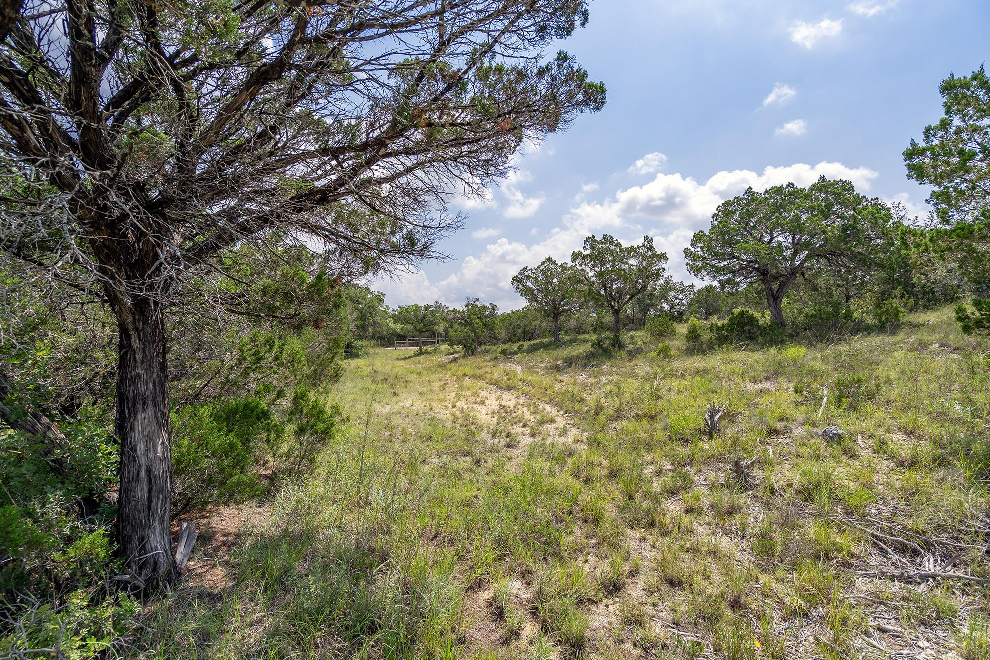 Image 24 of 38 For 19705 Tyler Trl