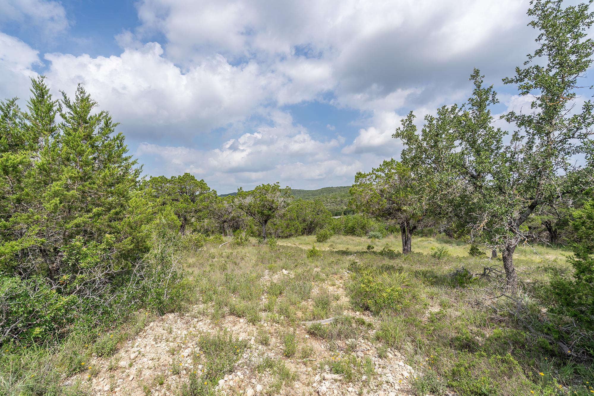 Image 3 of 38 For 19705 Tyler Trl