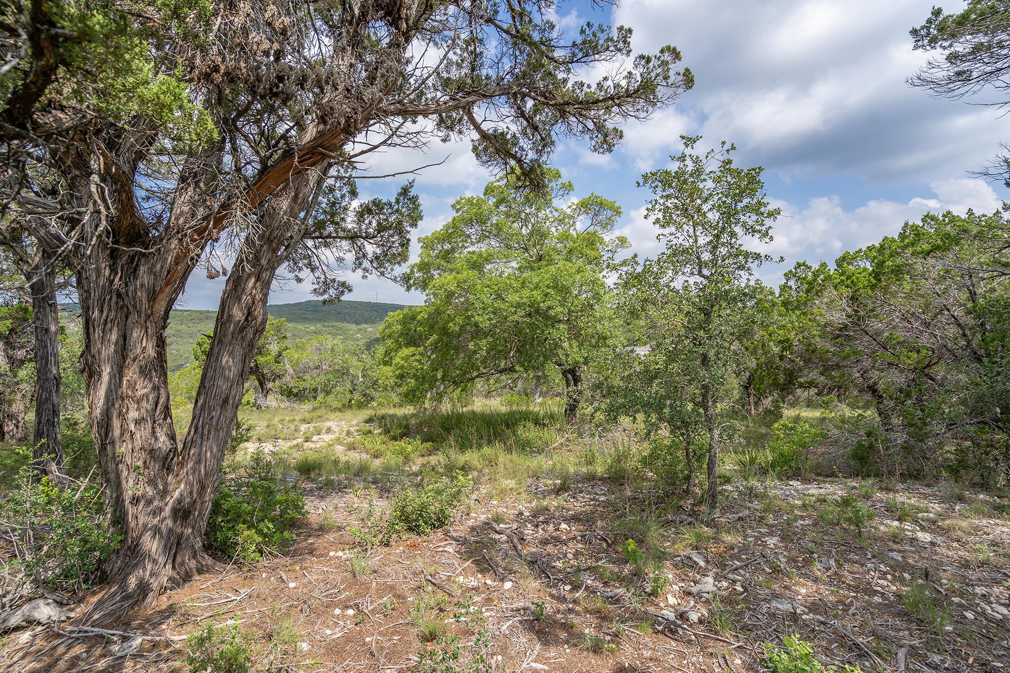 Image 8 of 38 For 19705 Tyler Trl