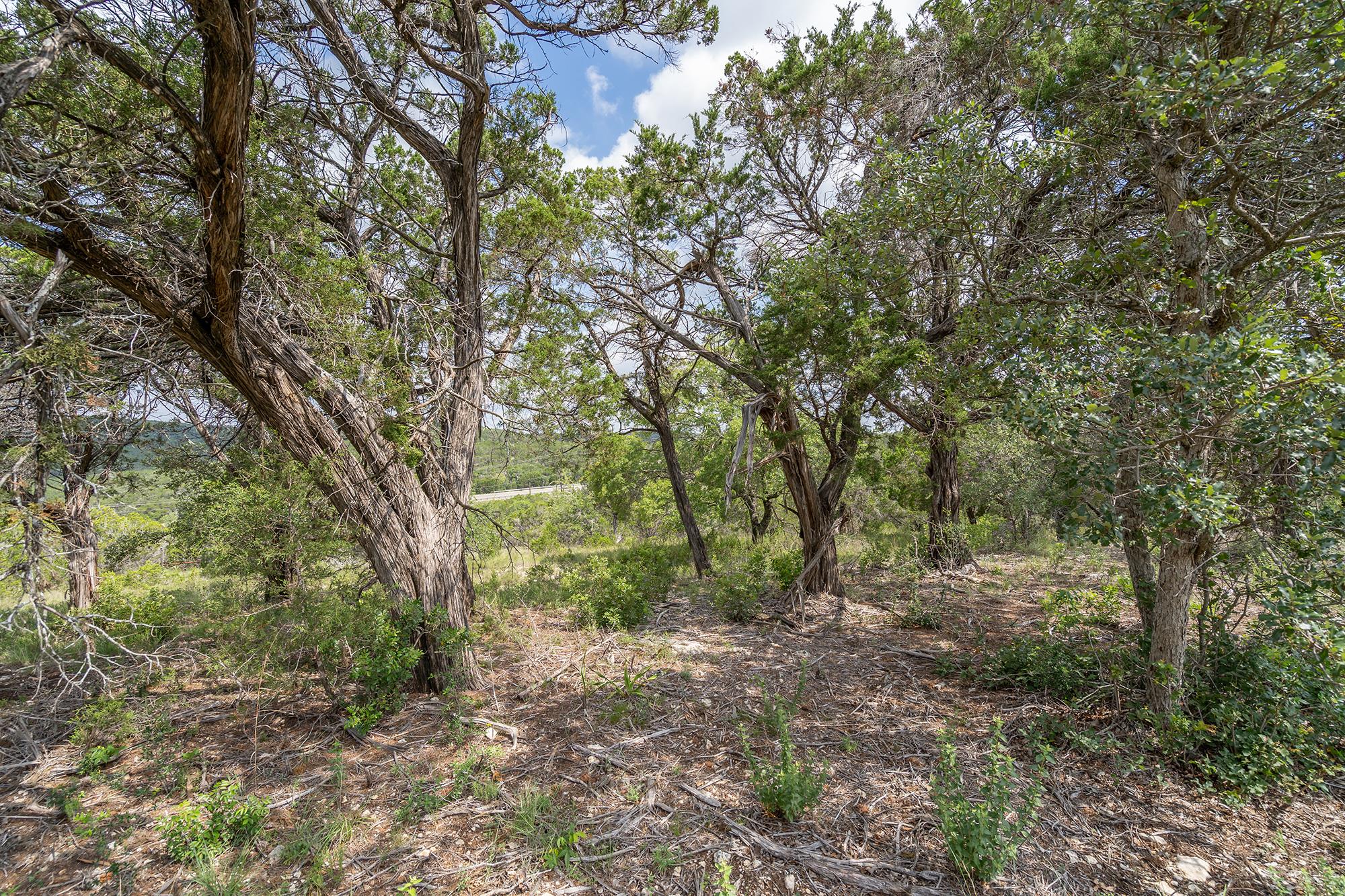 Image 9 of 38 For 19705 Tyler Trl